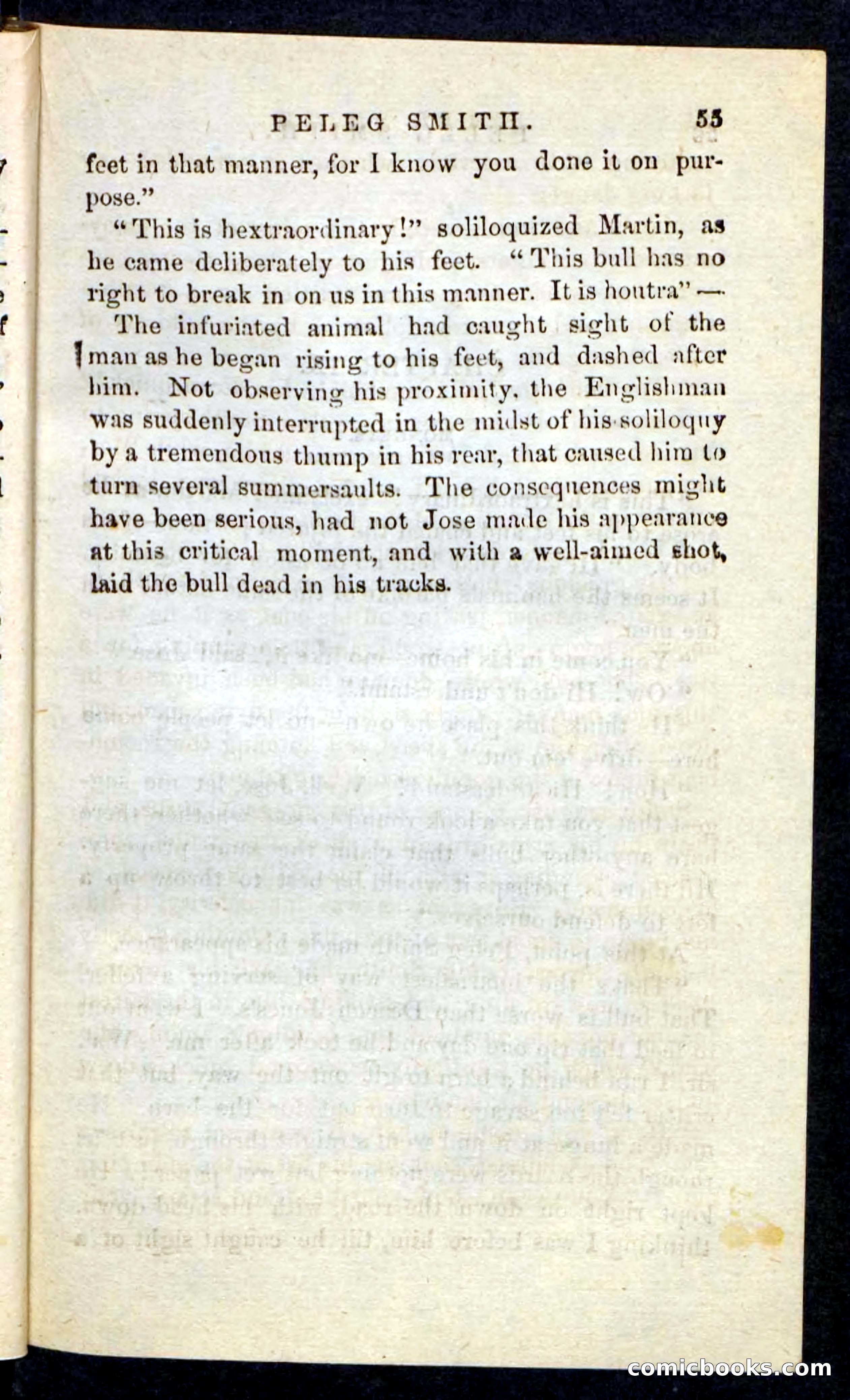 Beadle's Pocket Novels No. 216 — page 51 of 100