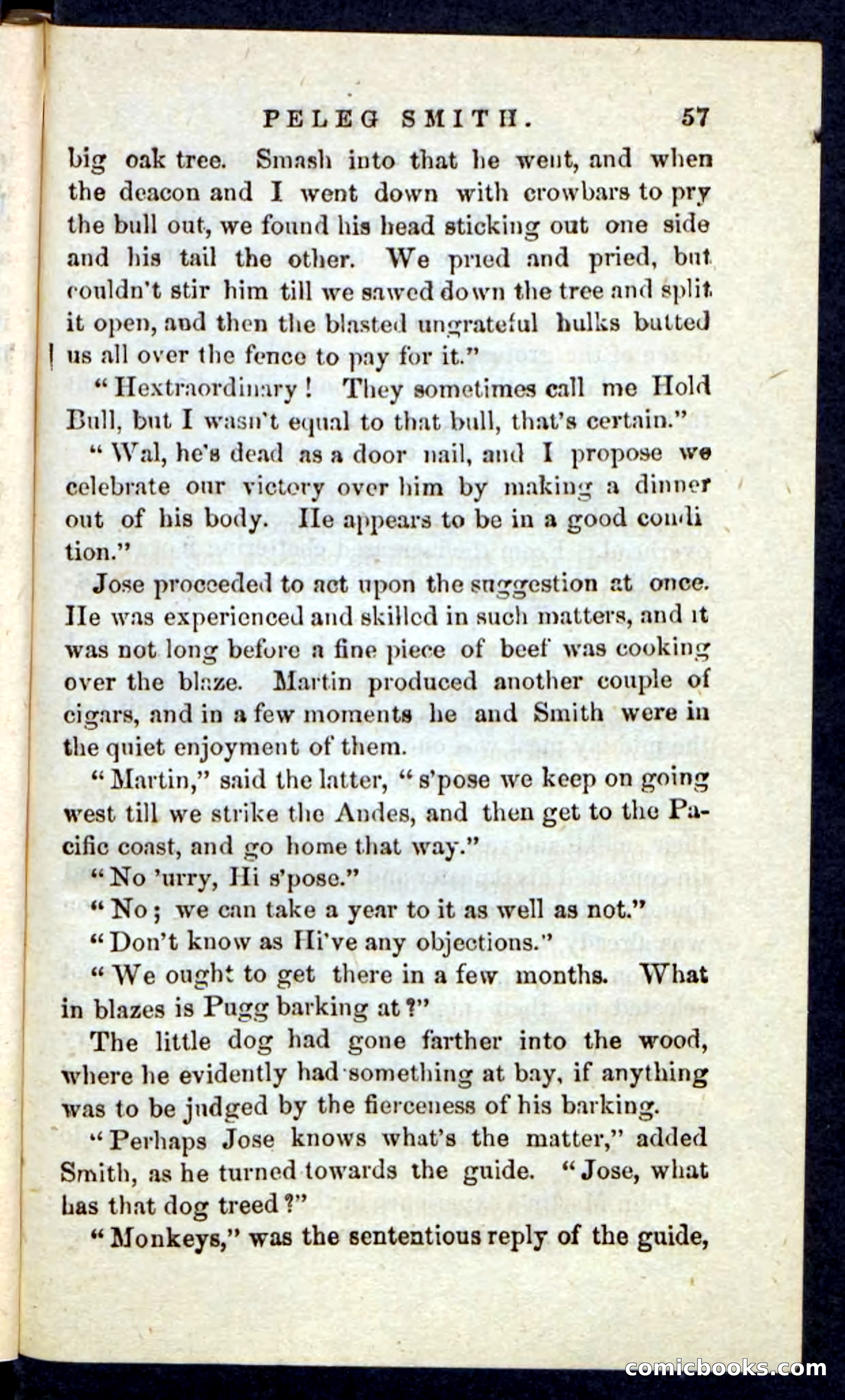 Beadle's Pocket Novels No. 216 — page 53 of 100
