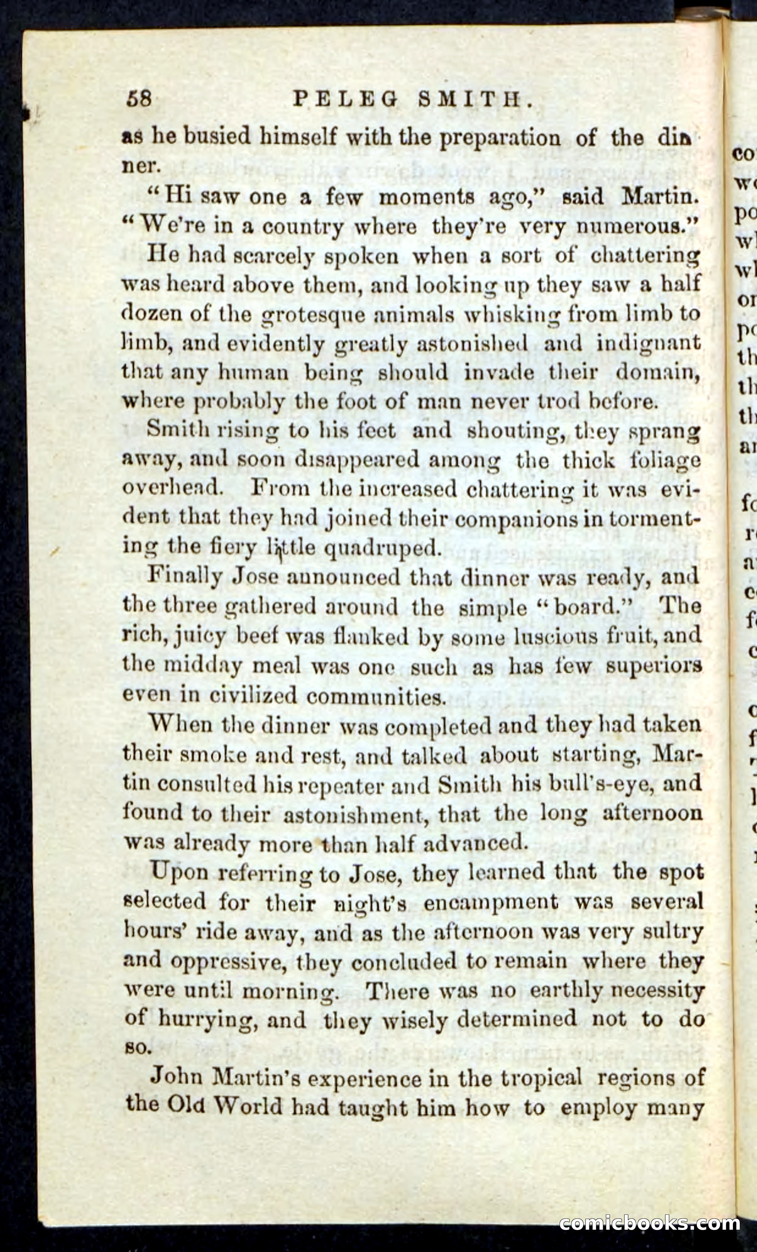 Beadle's Pocket Novels No. 216 — page 54 of 100