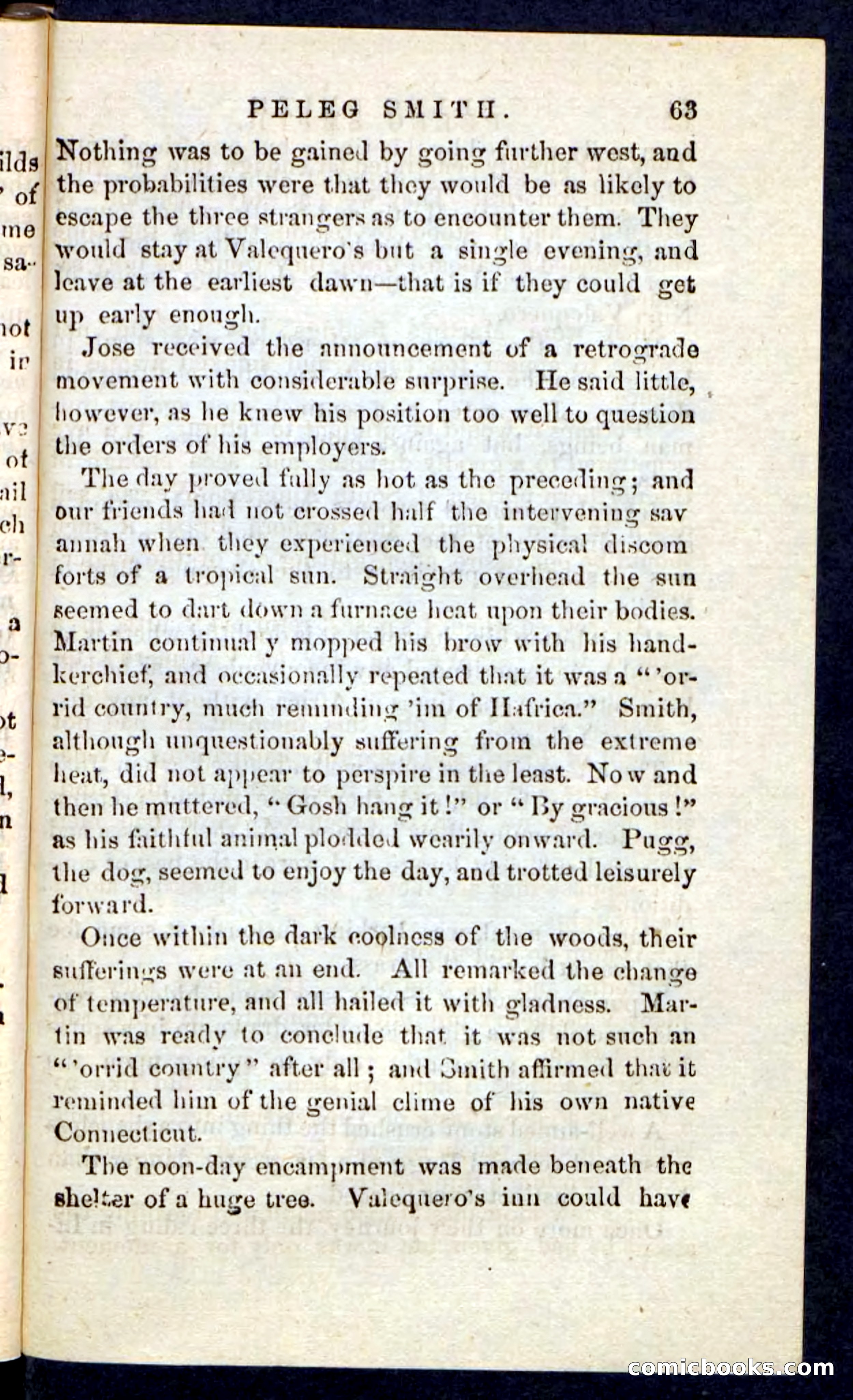 Beadle's Pocket Novels No. 216 — page 59 of 100