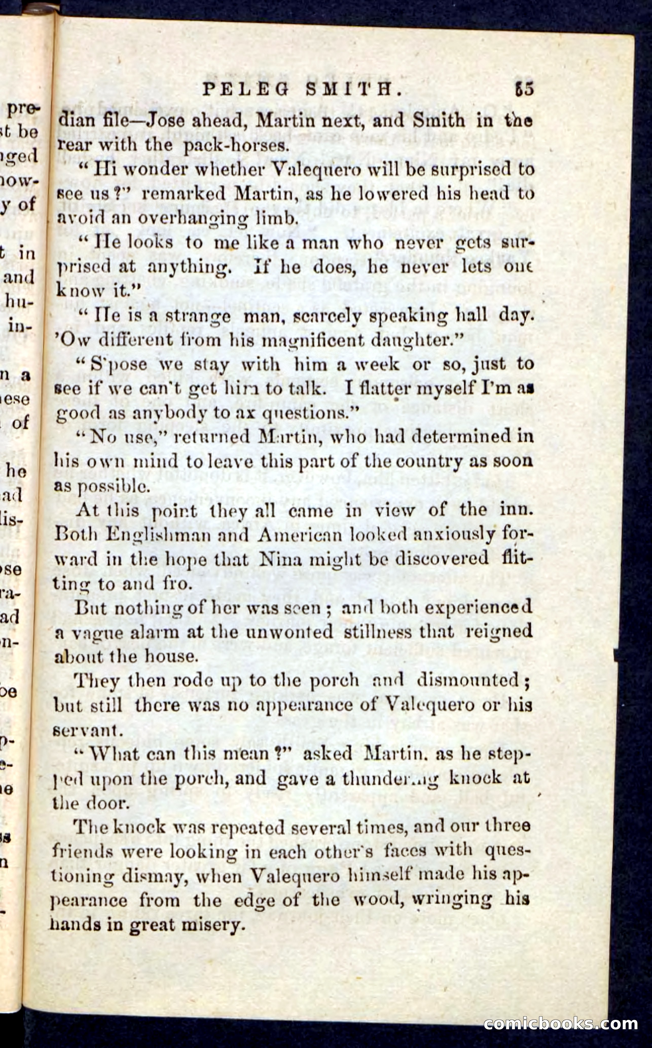 Beadle's Pocket Novels No. 216 — page 61 of 100