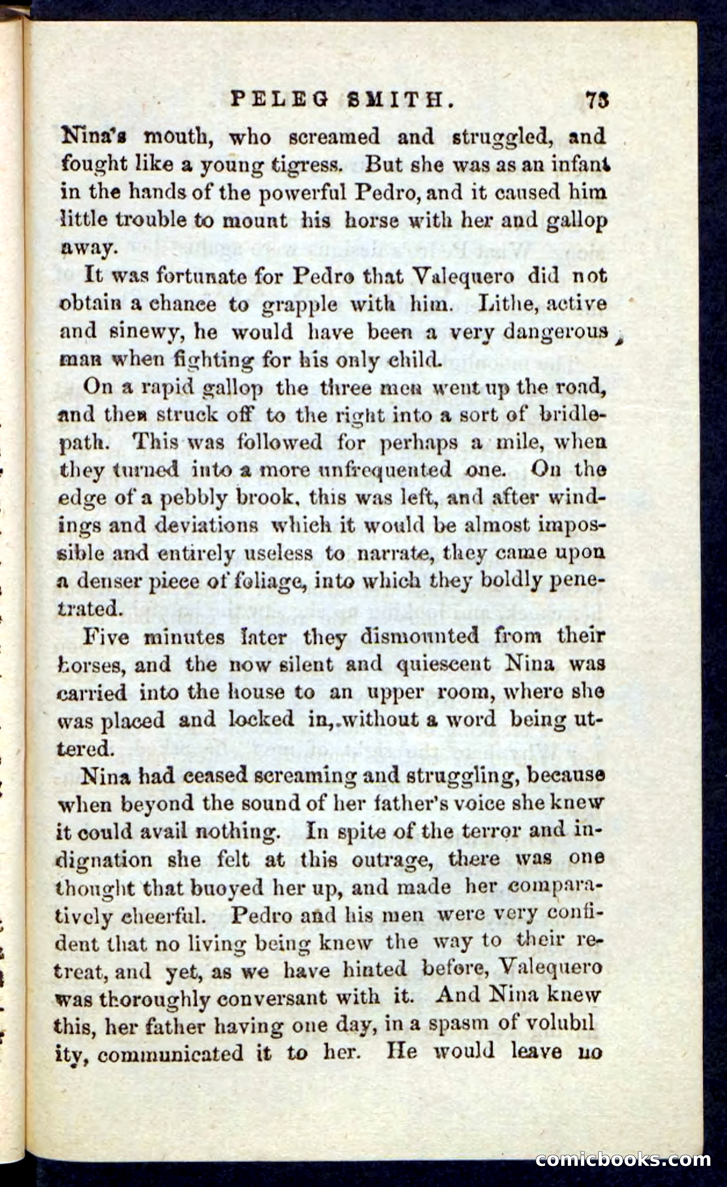 Beadle's Pocket Novels No. 216 — page 69 of 100