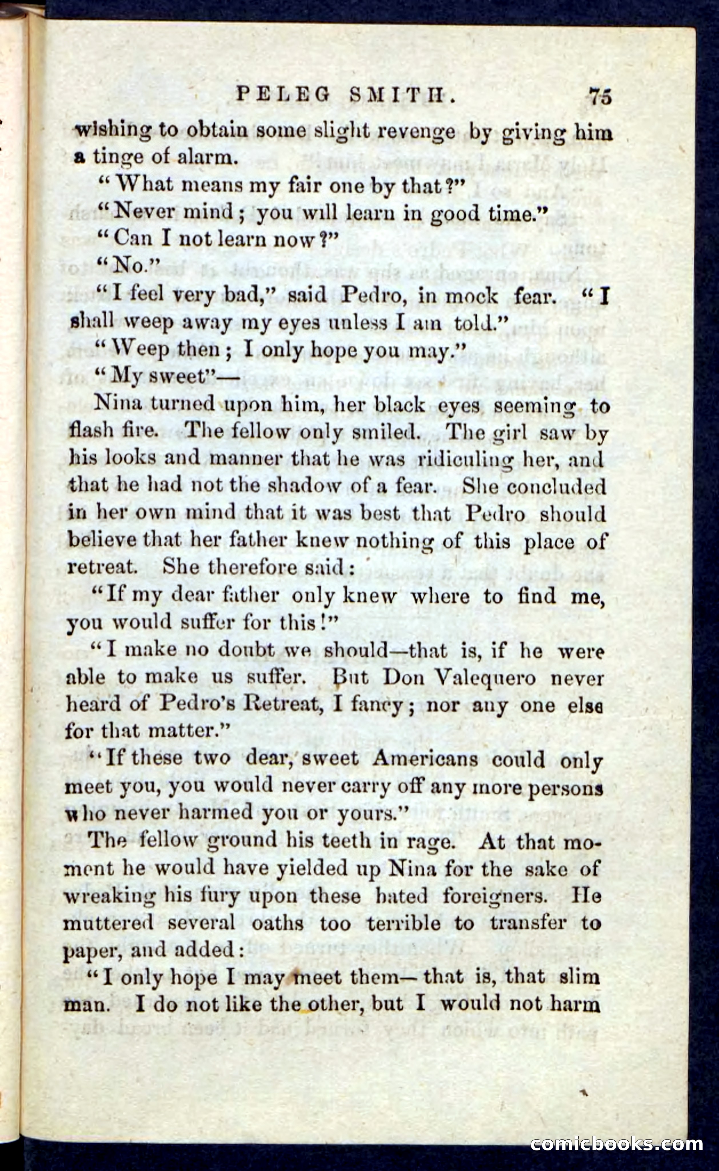 Beadle's Pocket Novels No. 216 — page 71 of 100