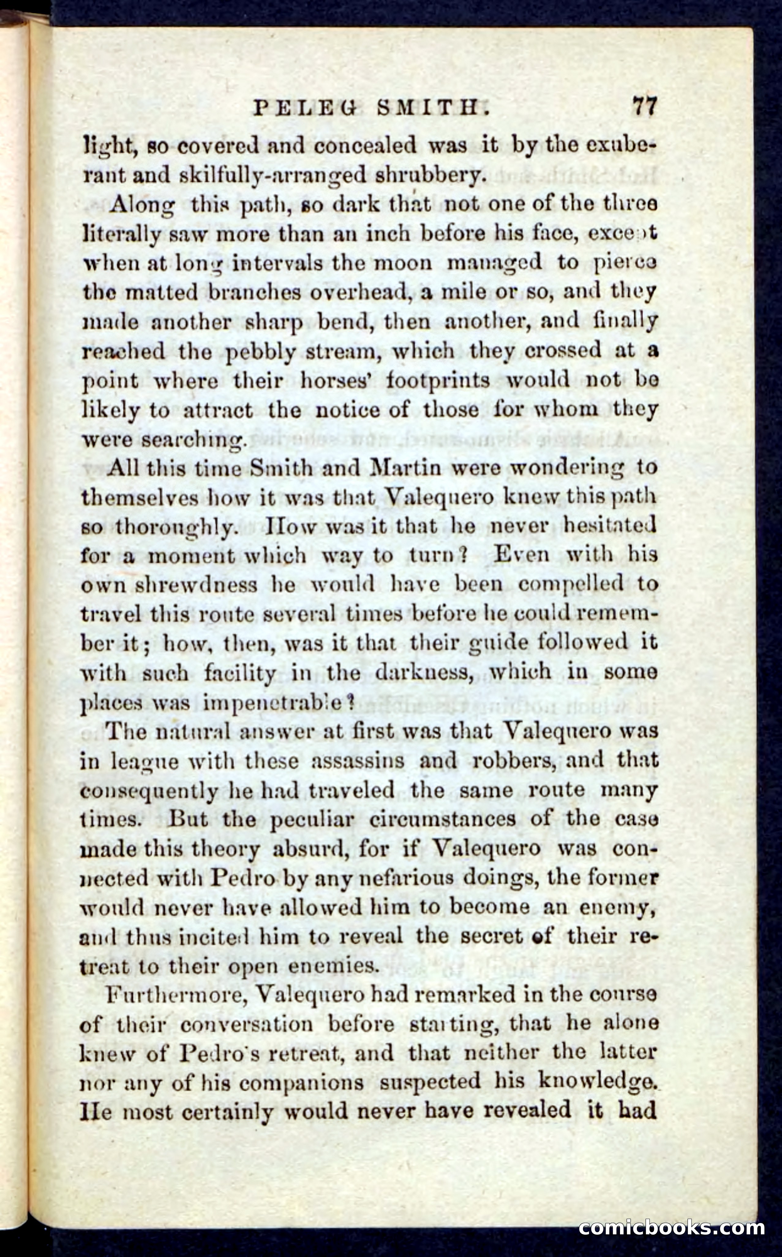 Beadle's Pocket Novels No. 216 — page 73 of 100
