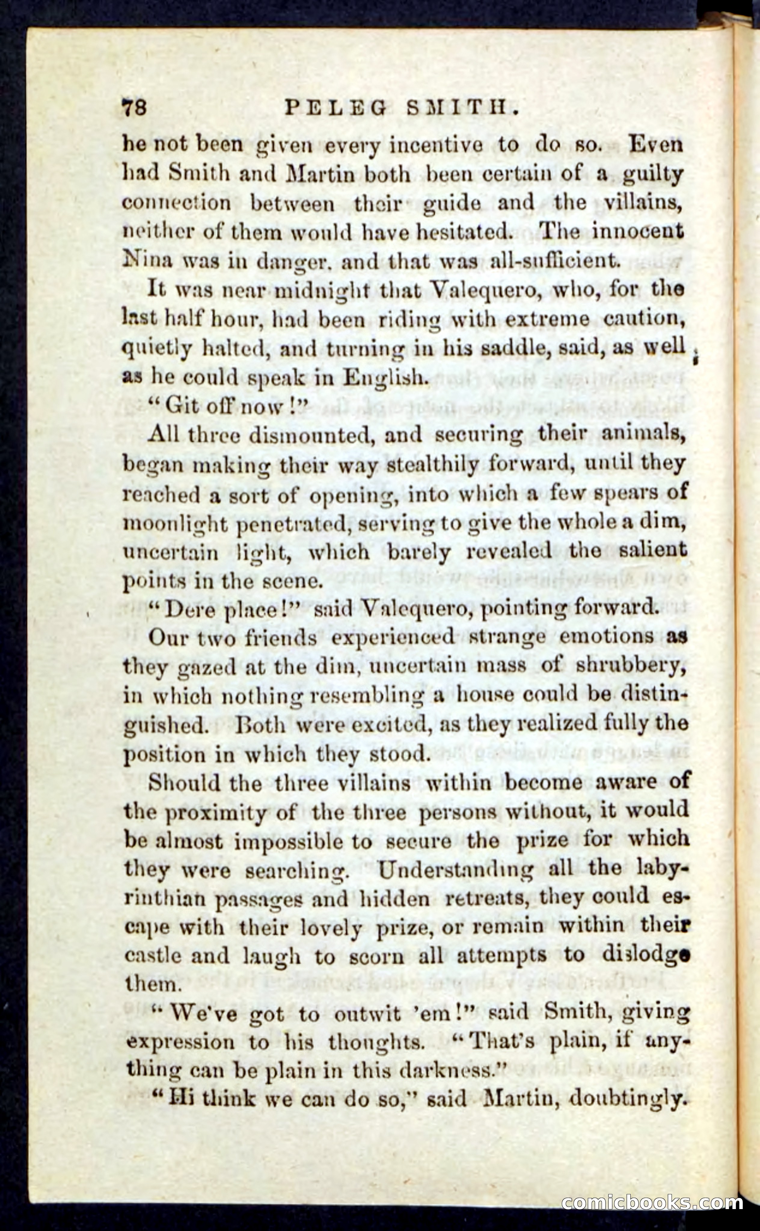 Beadle's Pocket Novels No. 216 — page 74 of 100