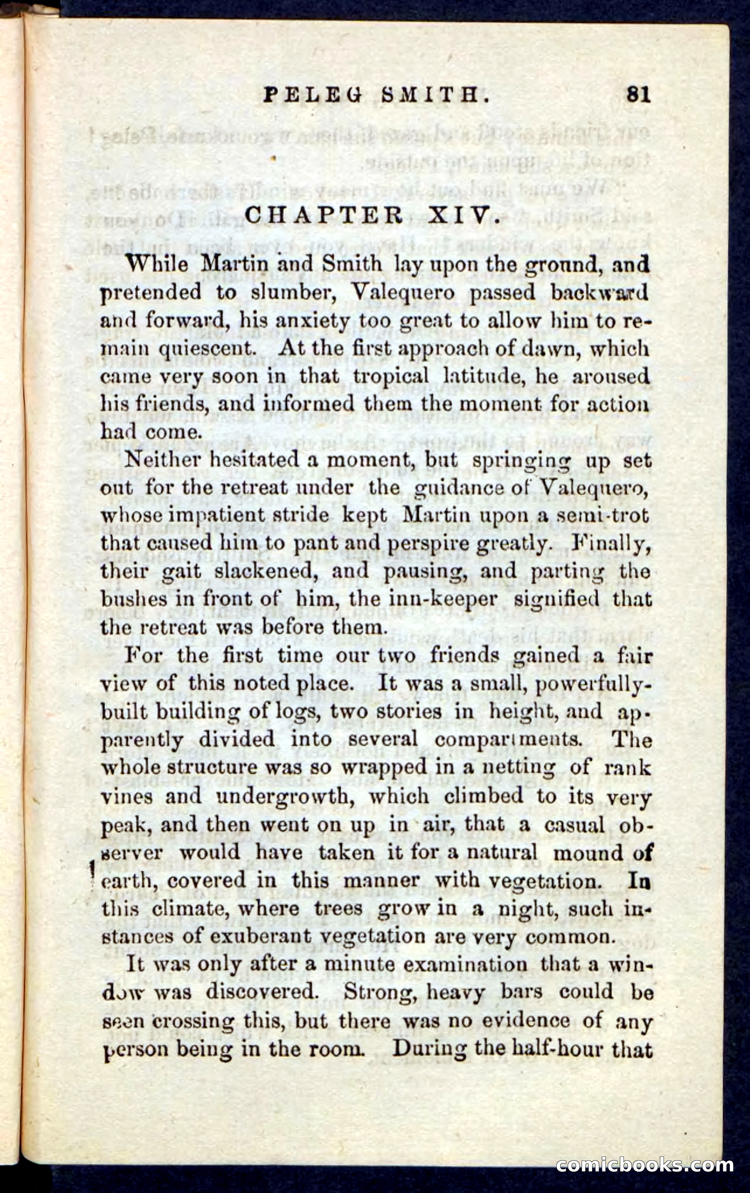 Beadle's Pocket Novels No. 216 — page 77 of 100