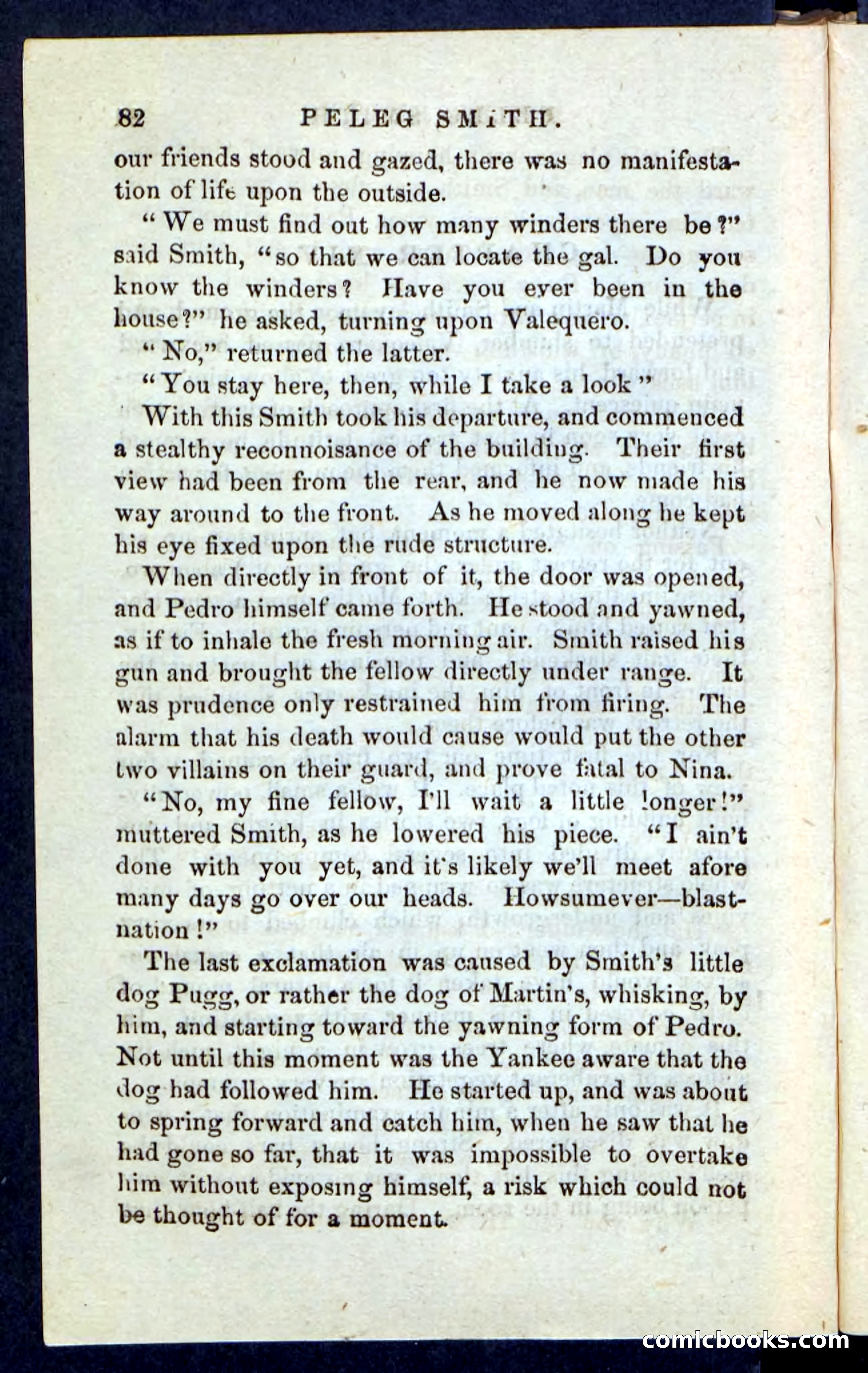 Beadle's Pocket Novels No. 216 — page 78 of 100