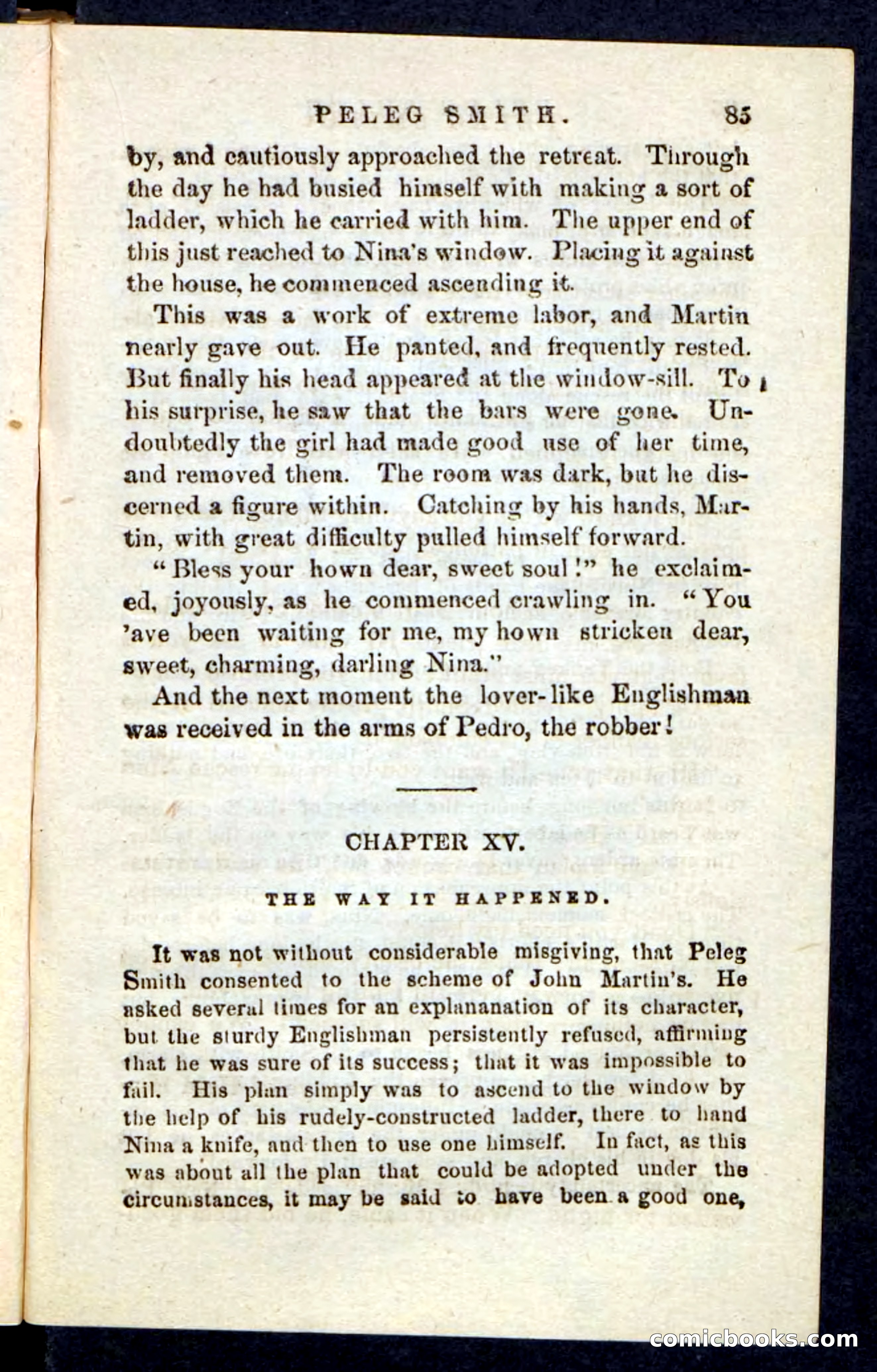 Beadle's Pocket Novels No. 216 — page 81 of 100