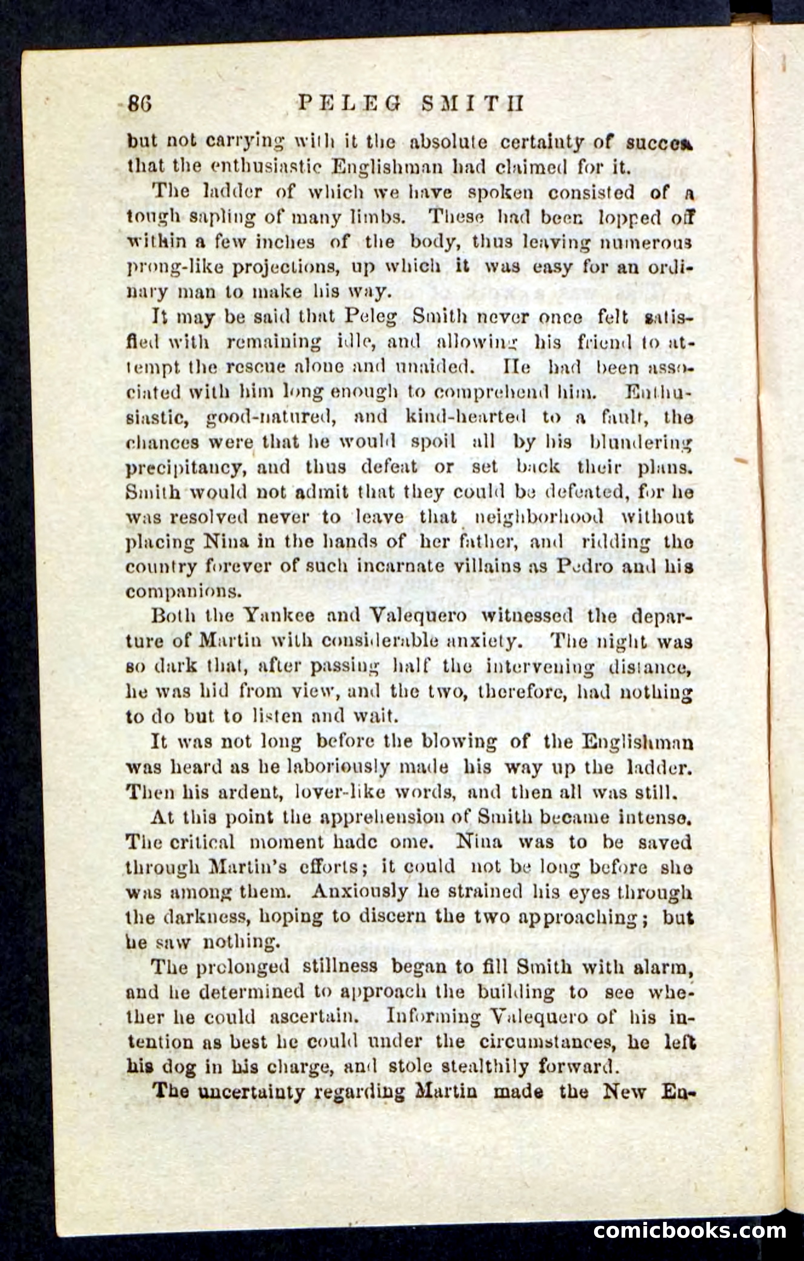 Beadle's Pocket Novels No. 216 — page 82 of 100