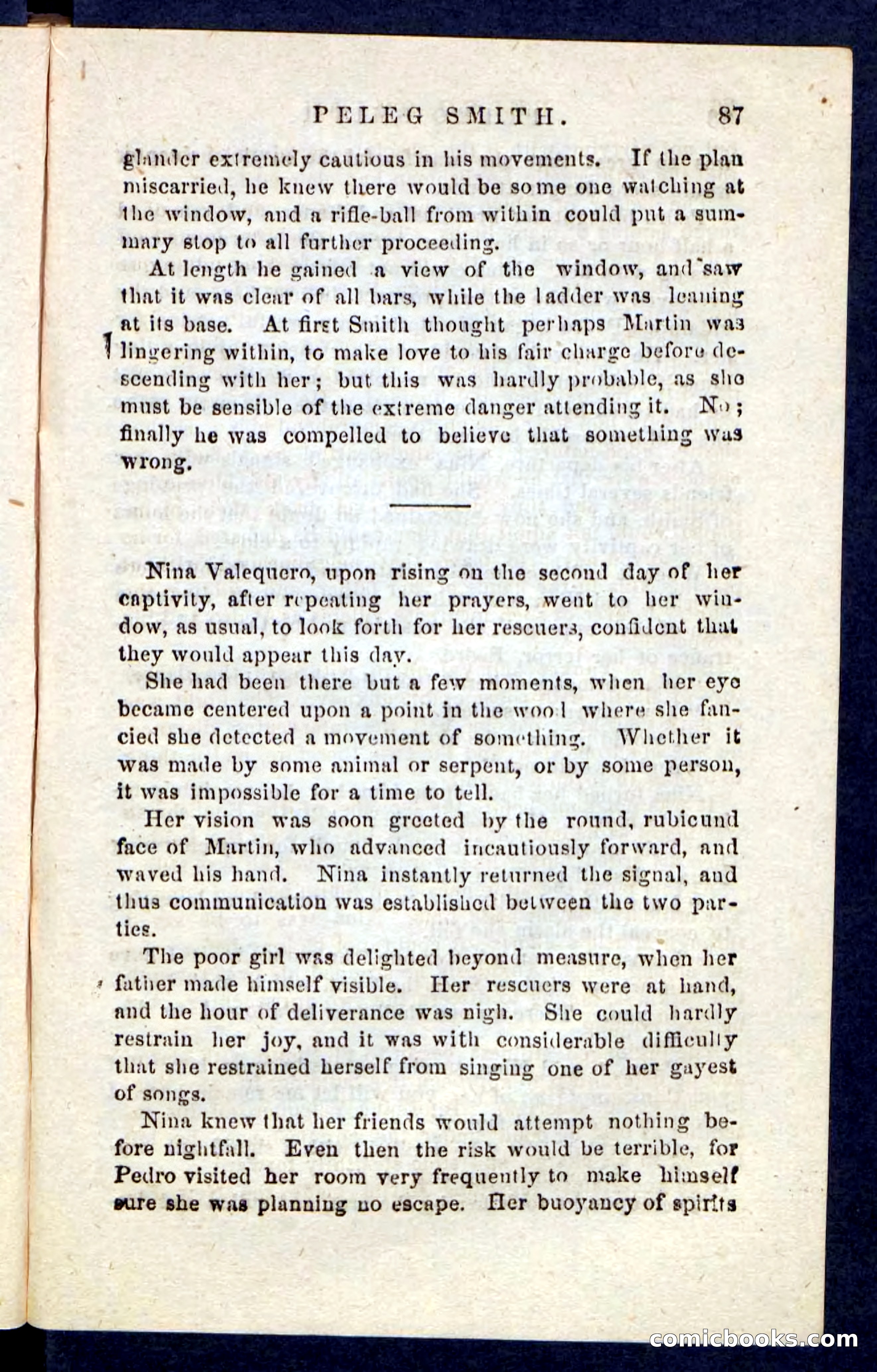Beadle's Pocket Novels No. 216 — page 83 of 100