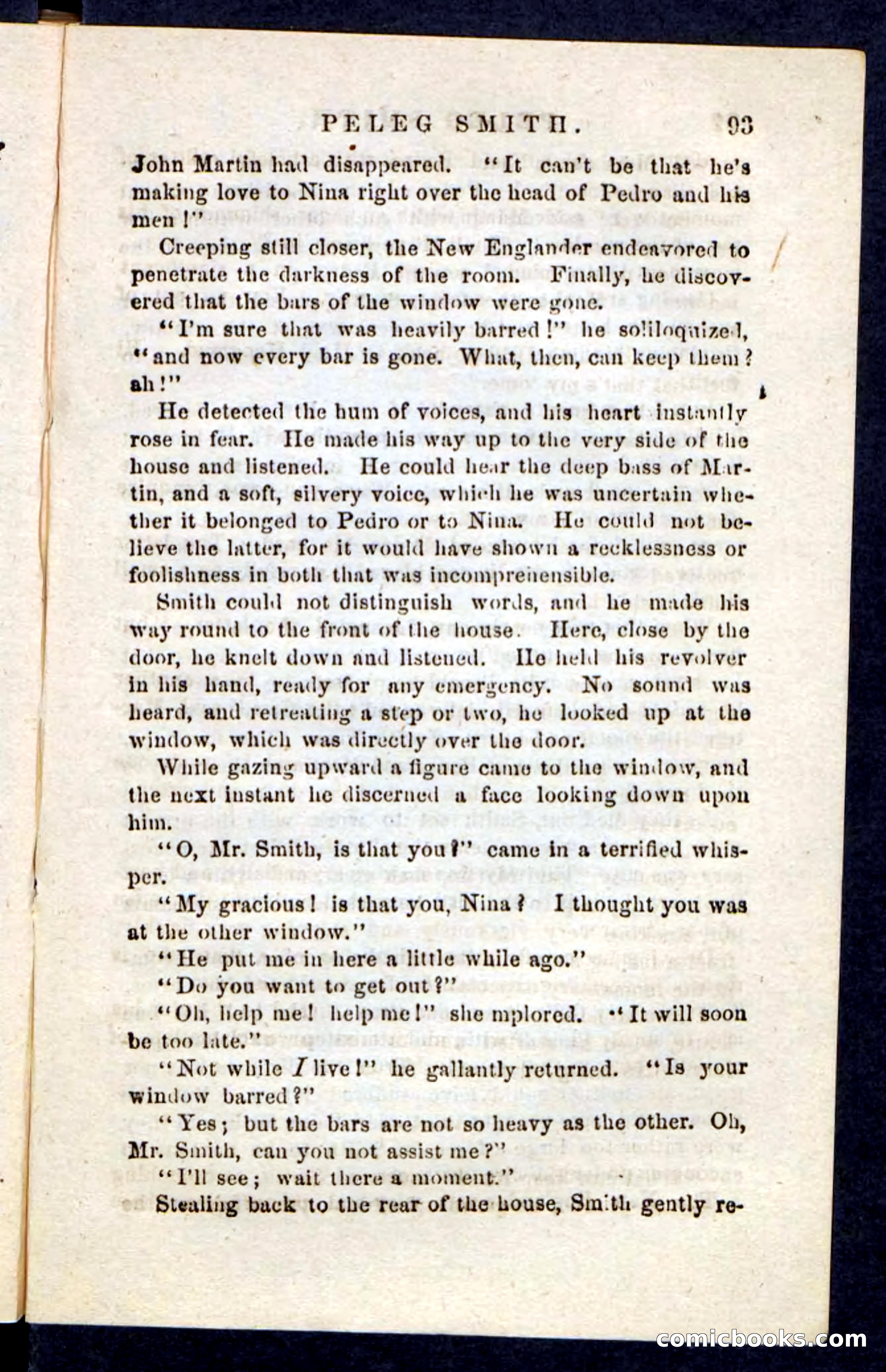 Beadle's Pocket Novels No. 216 — page 89 of 100