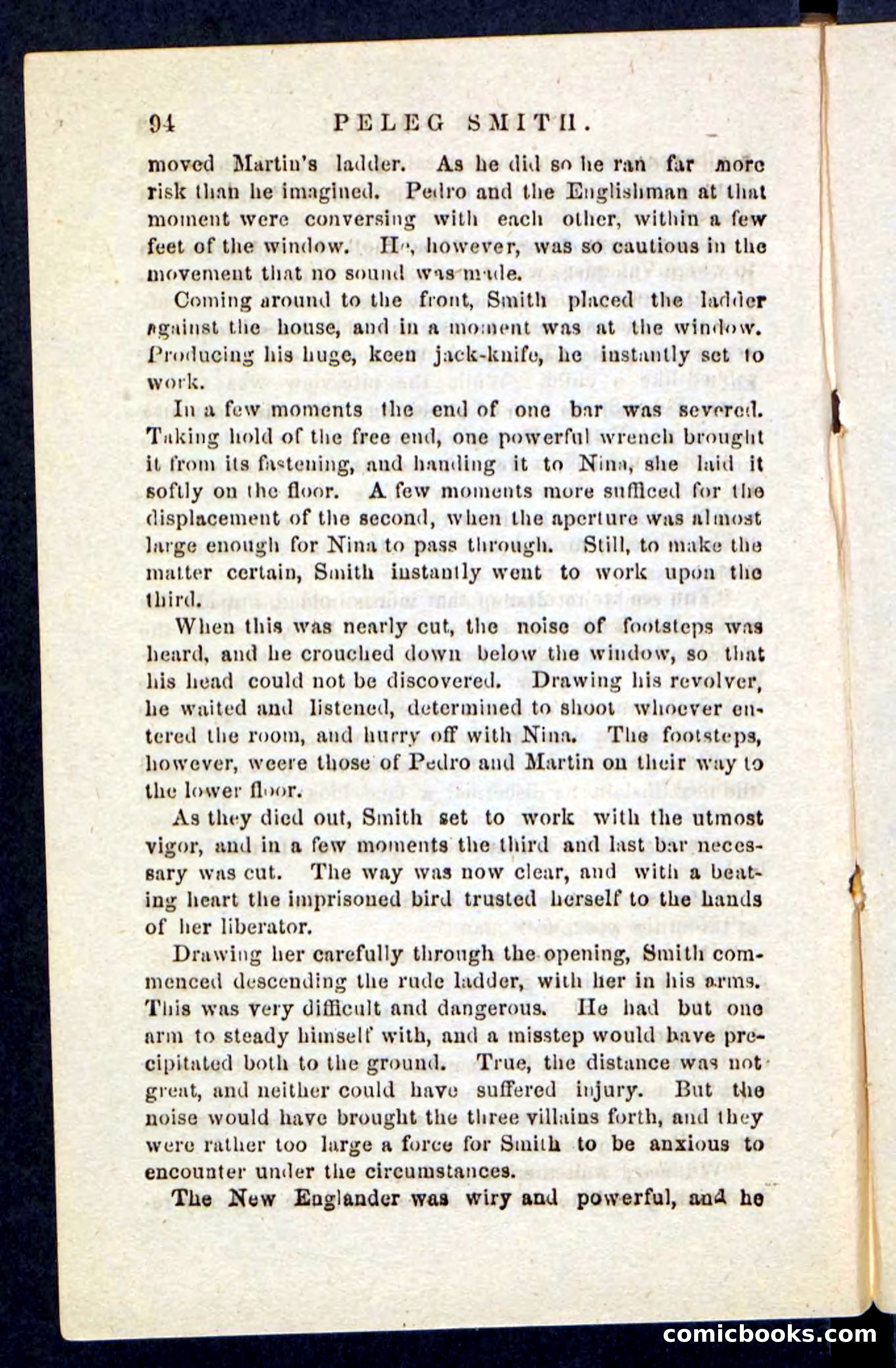 Beadle's Pocket Novels No. 216 — page 90 of 100
