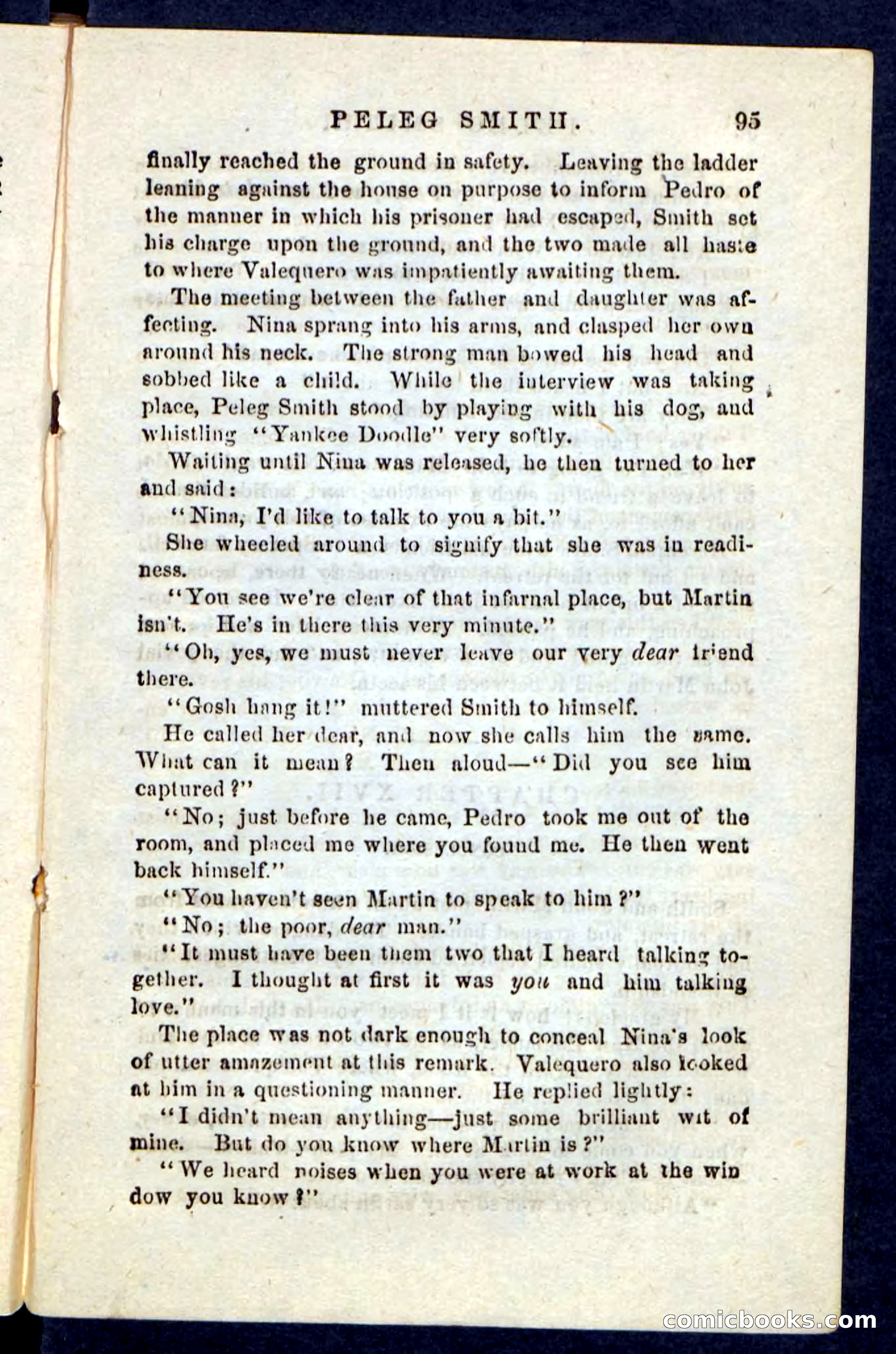 Beadle's Pocket Novels No. 216 — page 91 of 100