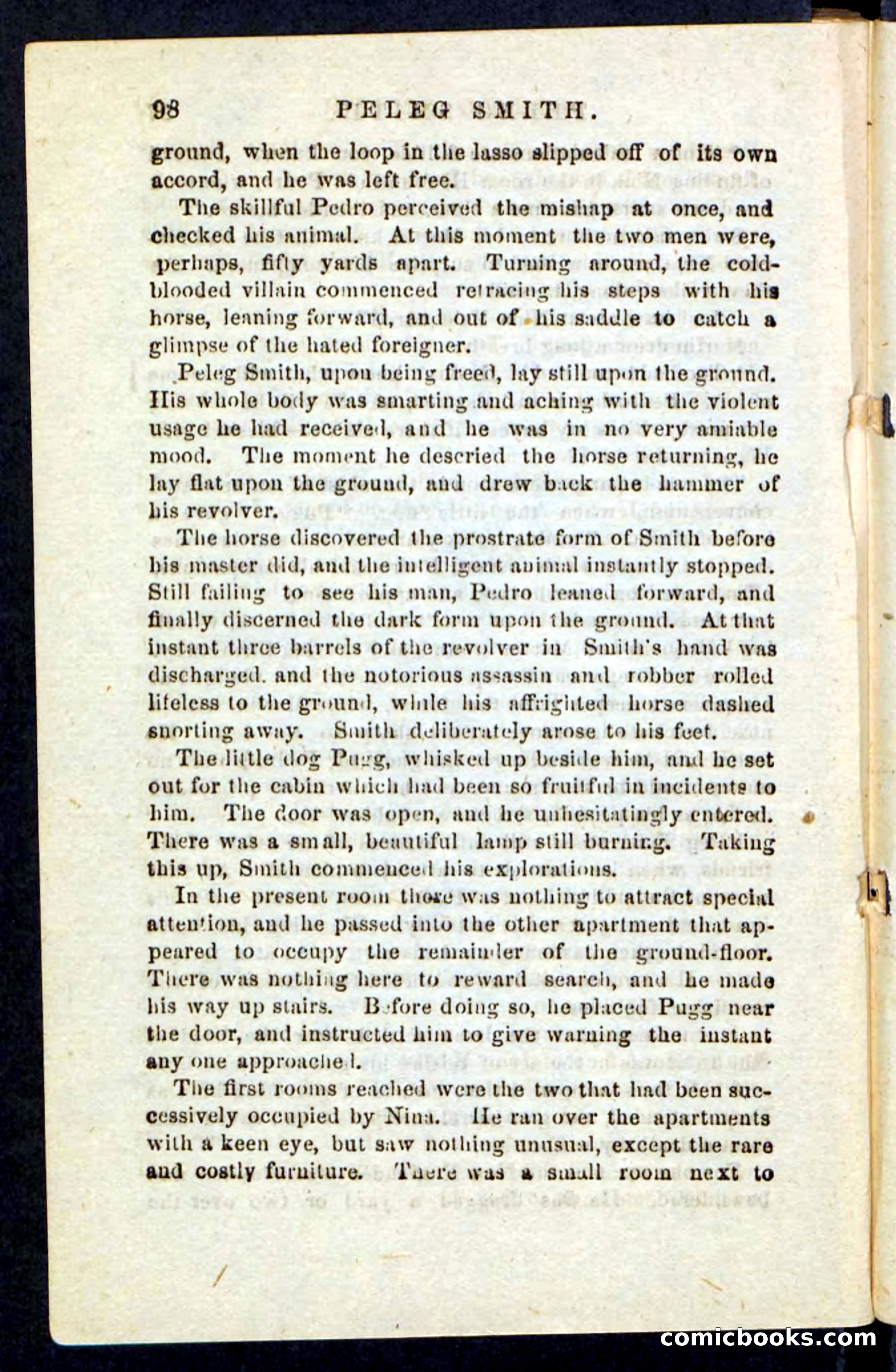Beadle's Pocket Novels No. 216 — page 94 of 100