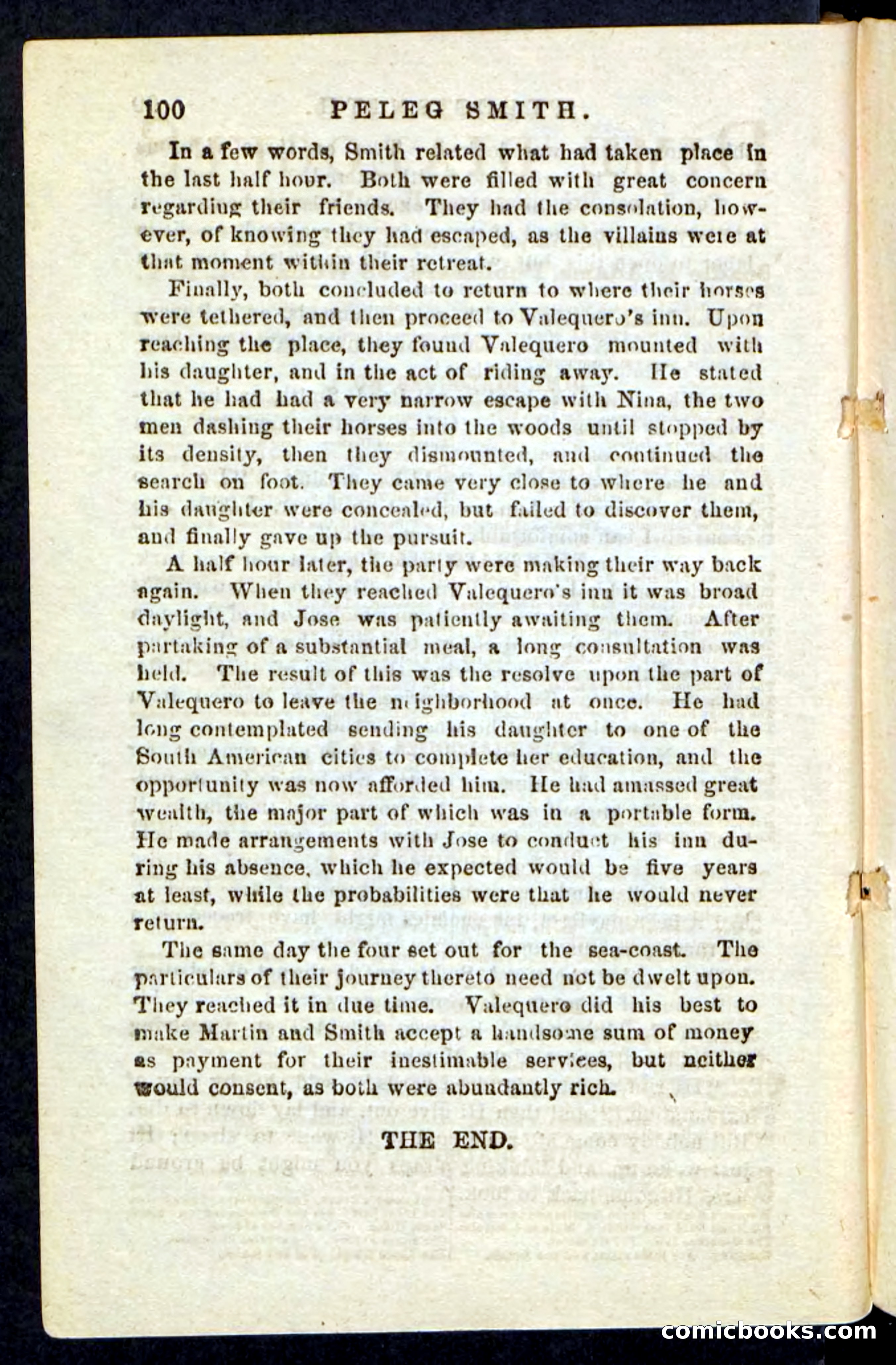 Beadle's Pocket Novels No. 216 — page 96 of 100