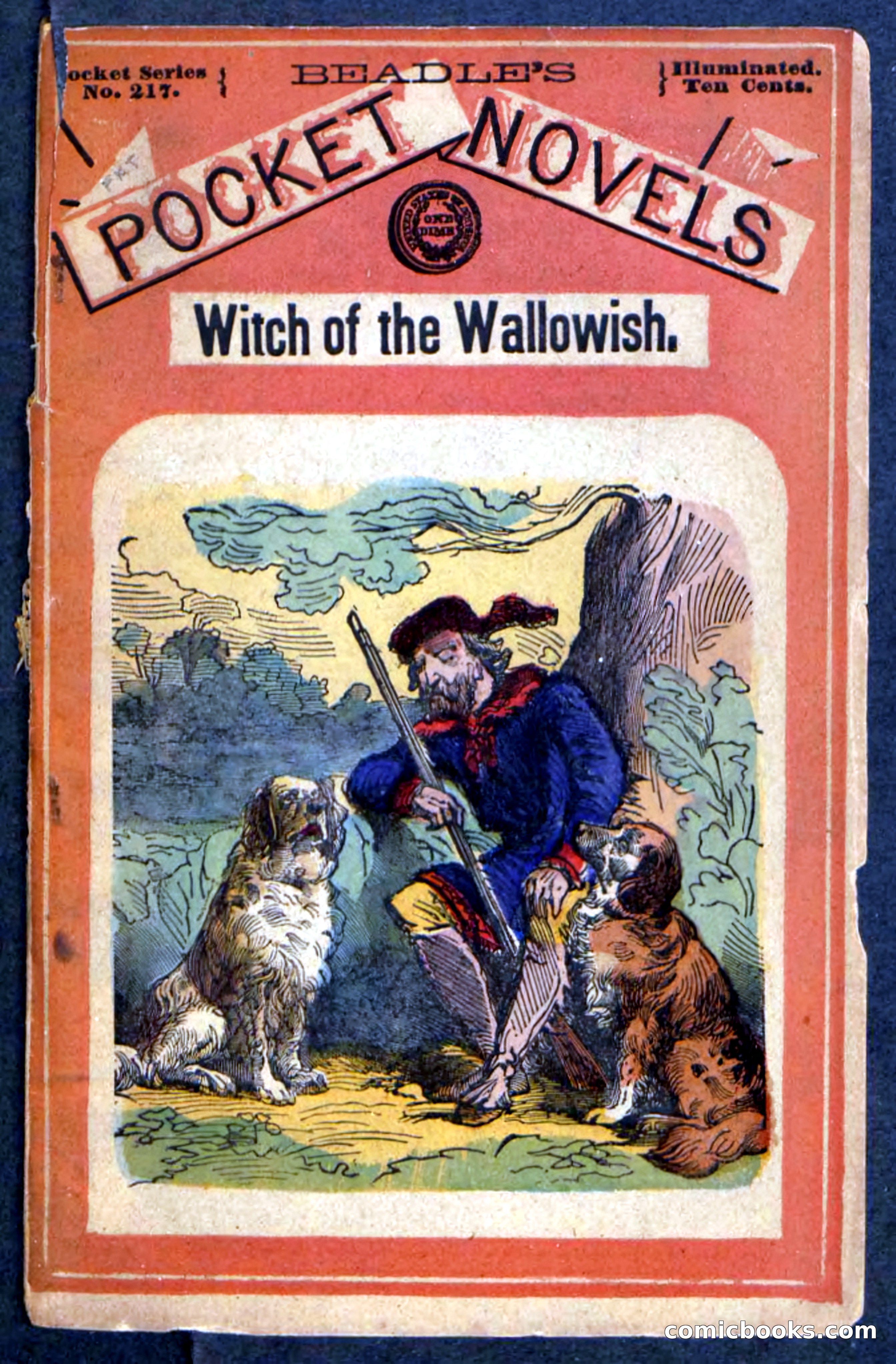 Beadle's Pocket Novels No. 217: Witch of the Wallowish