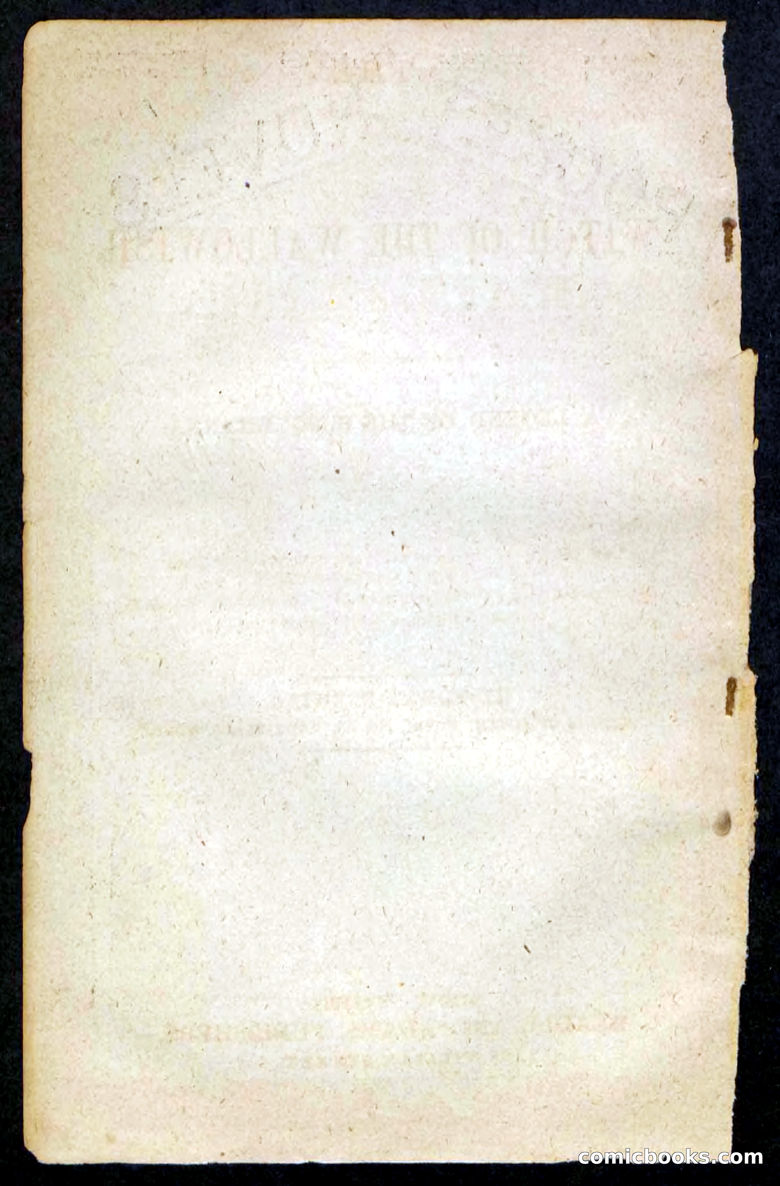 Beadle's Pocket Novels No. 217: Witch of the Wallowish — page 2 of 100