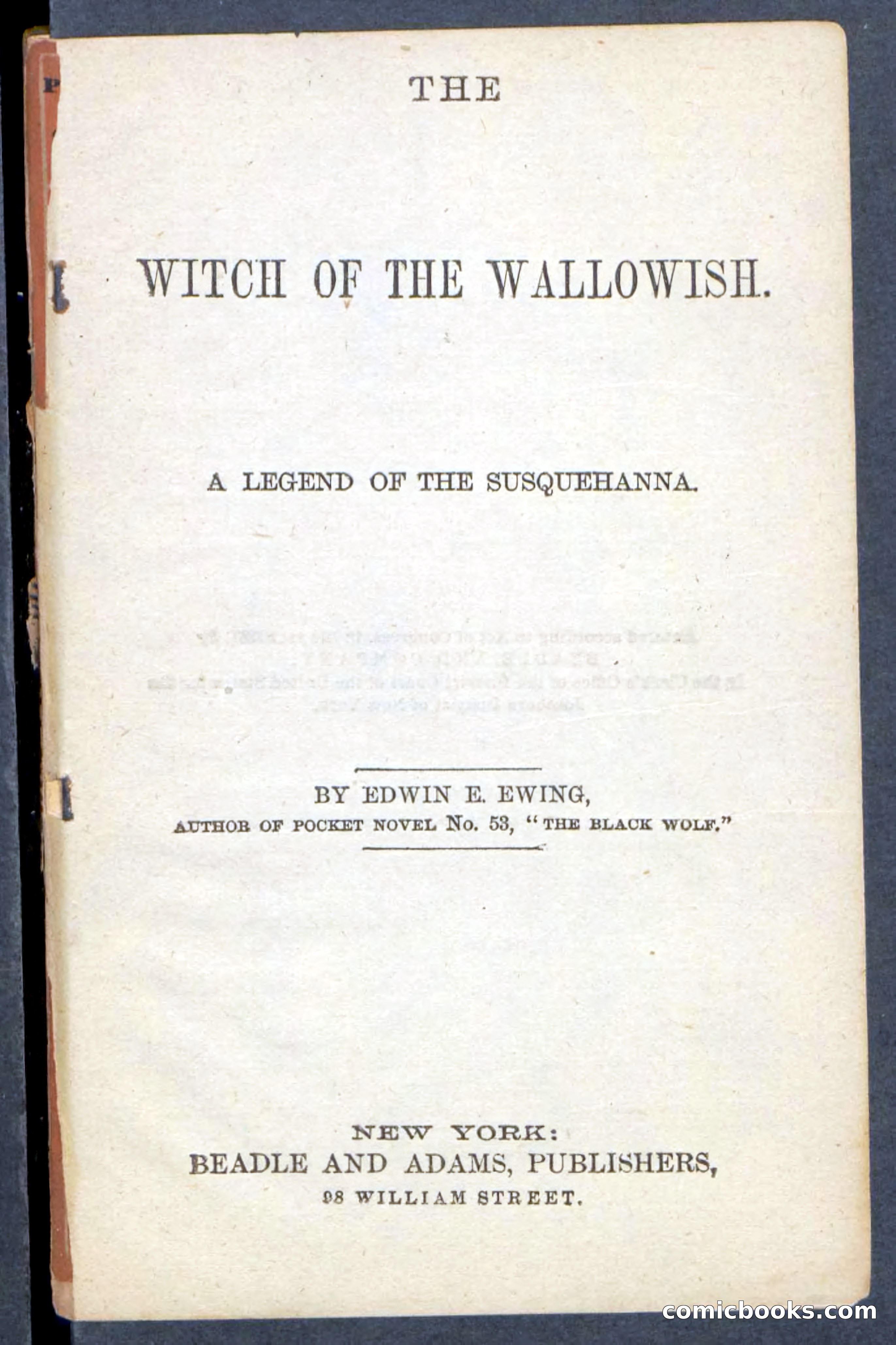 Beadle's Pocket Novels No. 217: Witch of the Wallowish — page 3 of 100