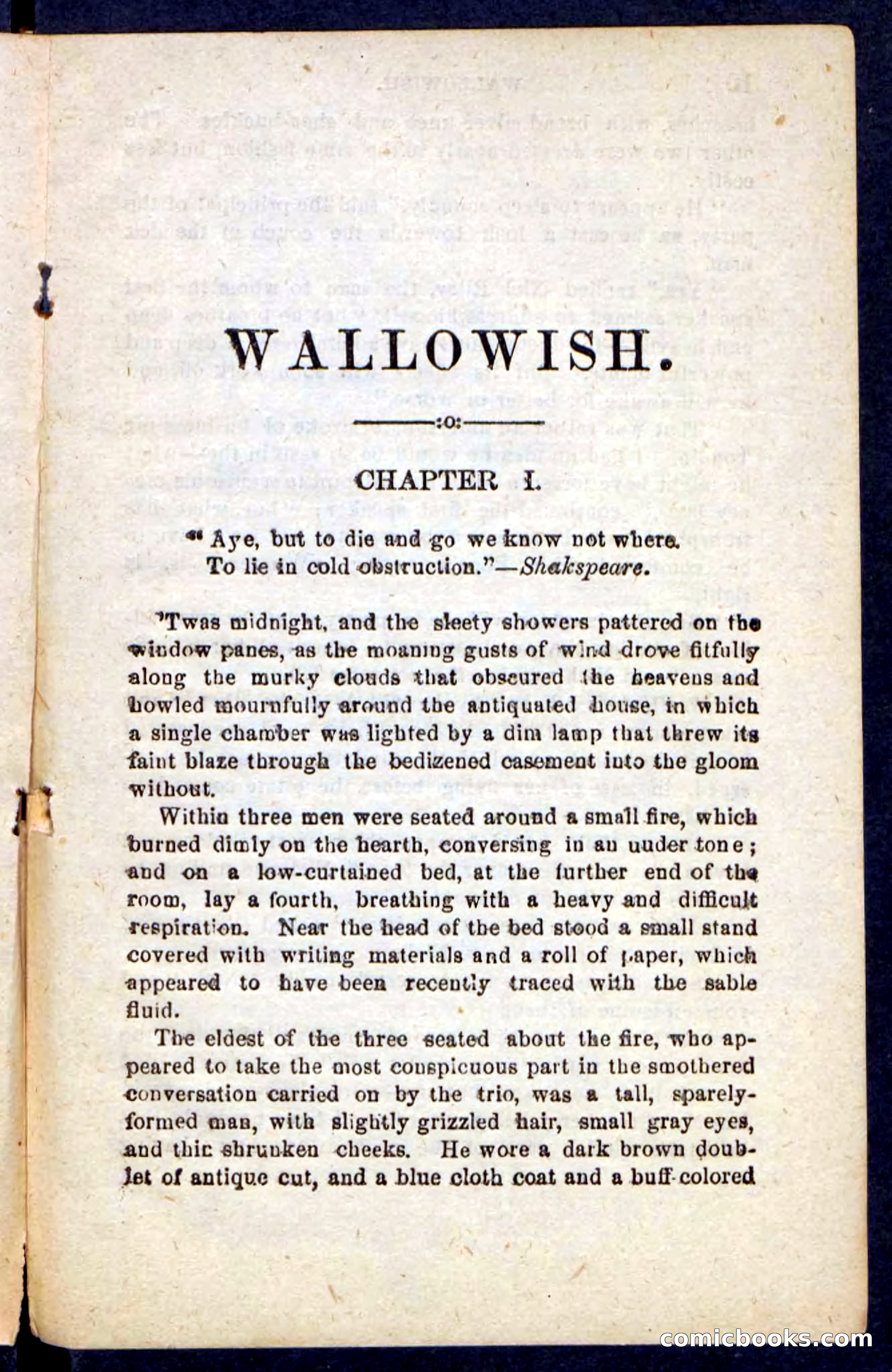 Beadle's Pocket Novels No. 217: Witch of the Wallowish — page 5 of 100