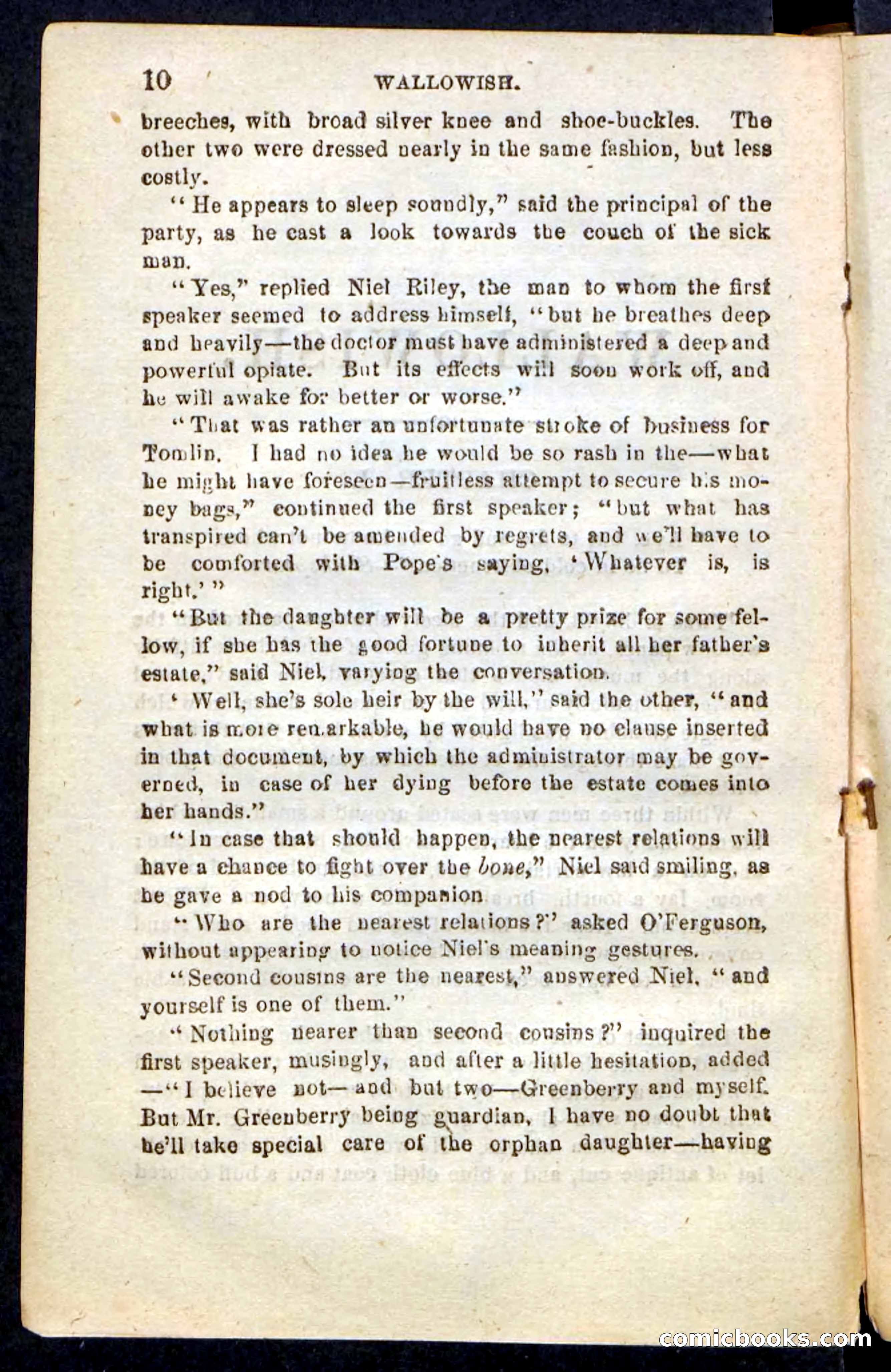 Beadle's Pocket Novels No. 217: Witch of the Wallowish — page 6 of 100