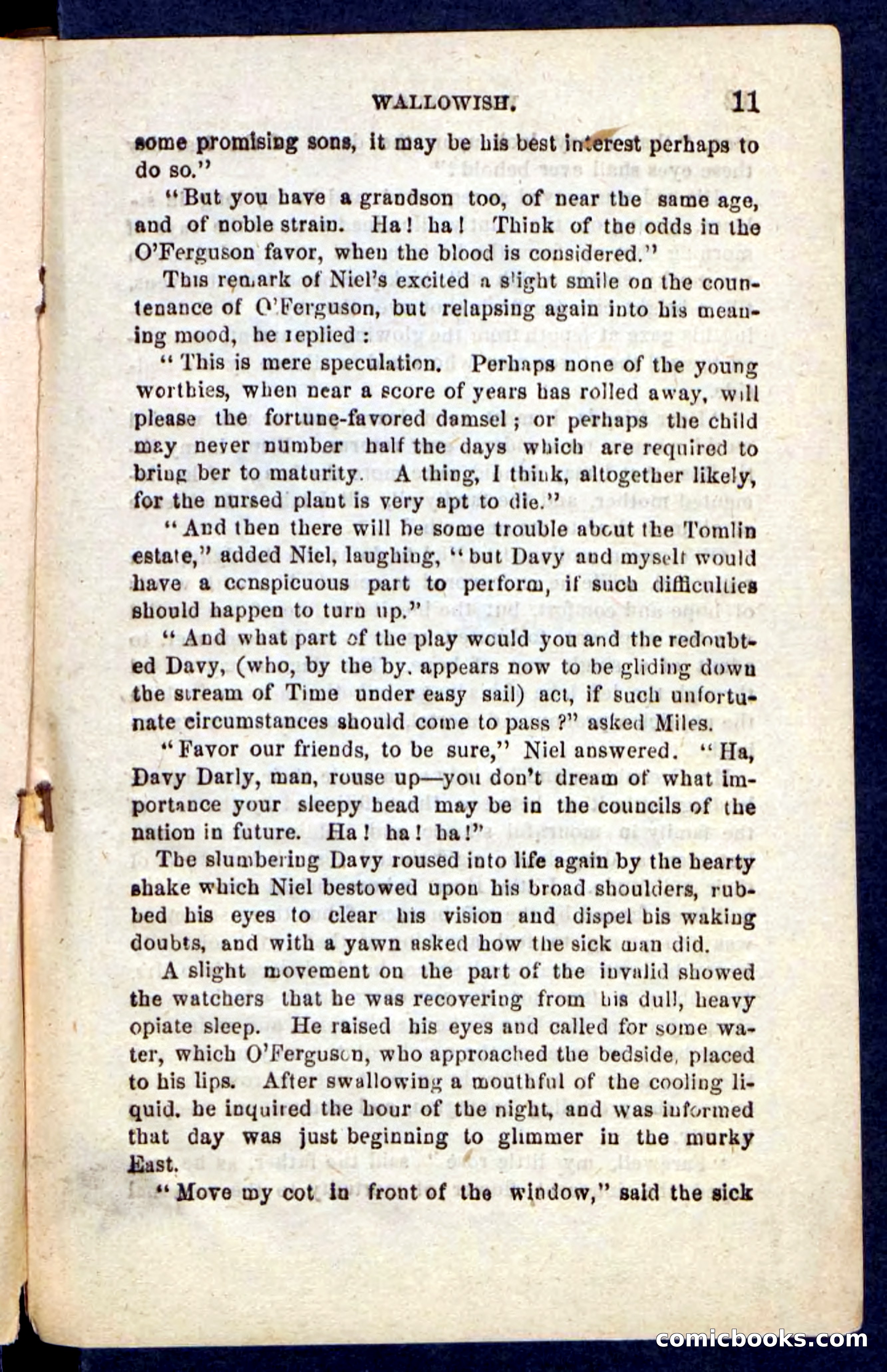 Beadle's Pocket Novels No. 217: Witch of the Wallowish — page 7 of 100
