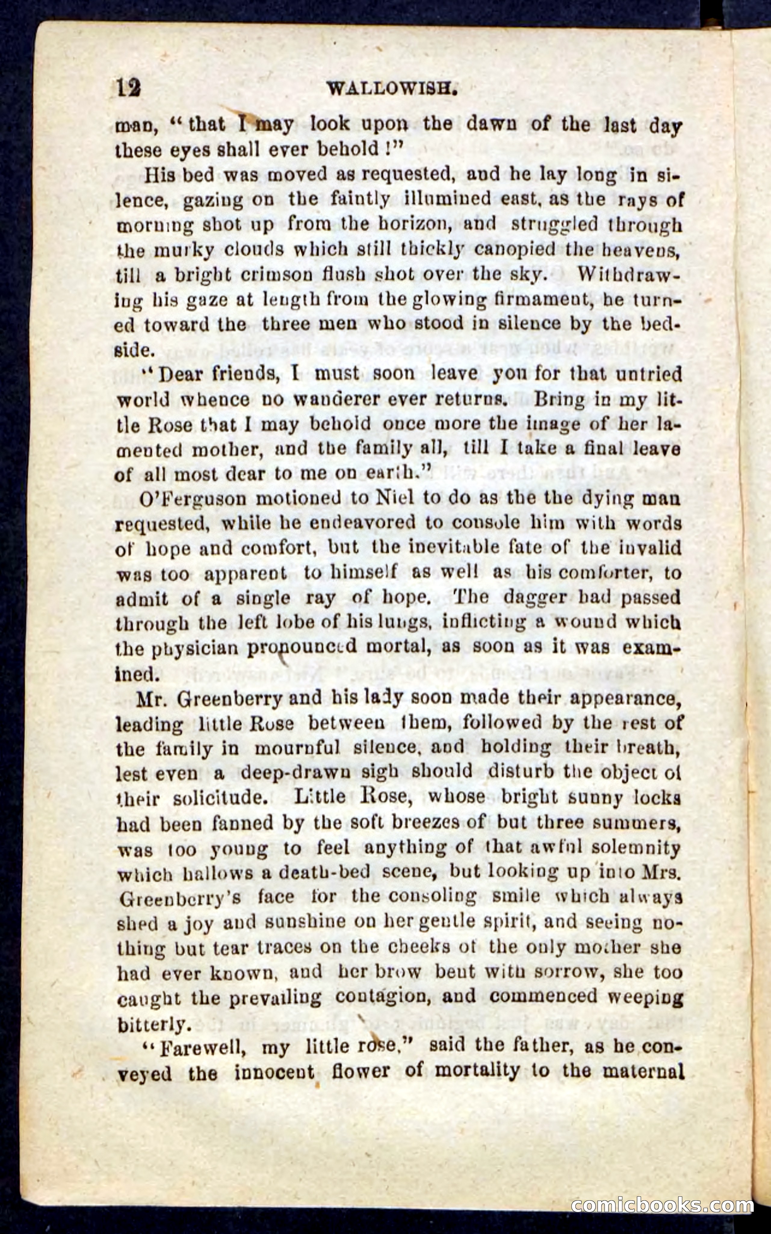 Beadle's Pocket Novels No. 217: Witch of the Wallowish — page 8 of 100