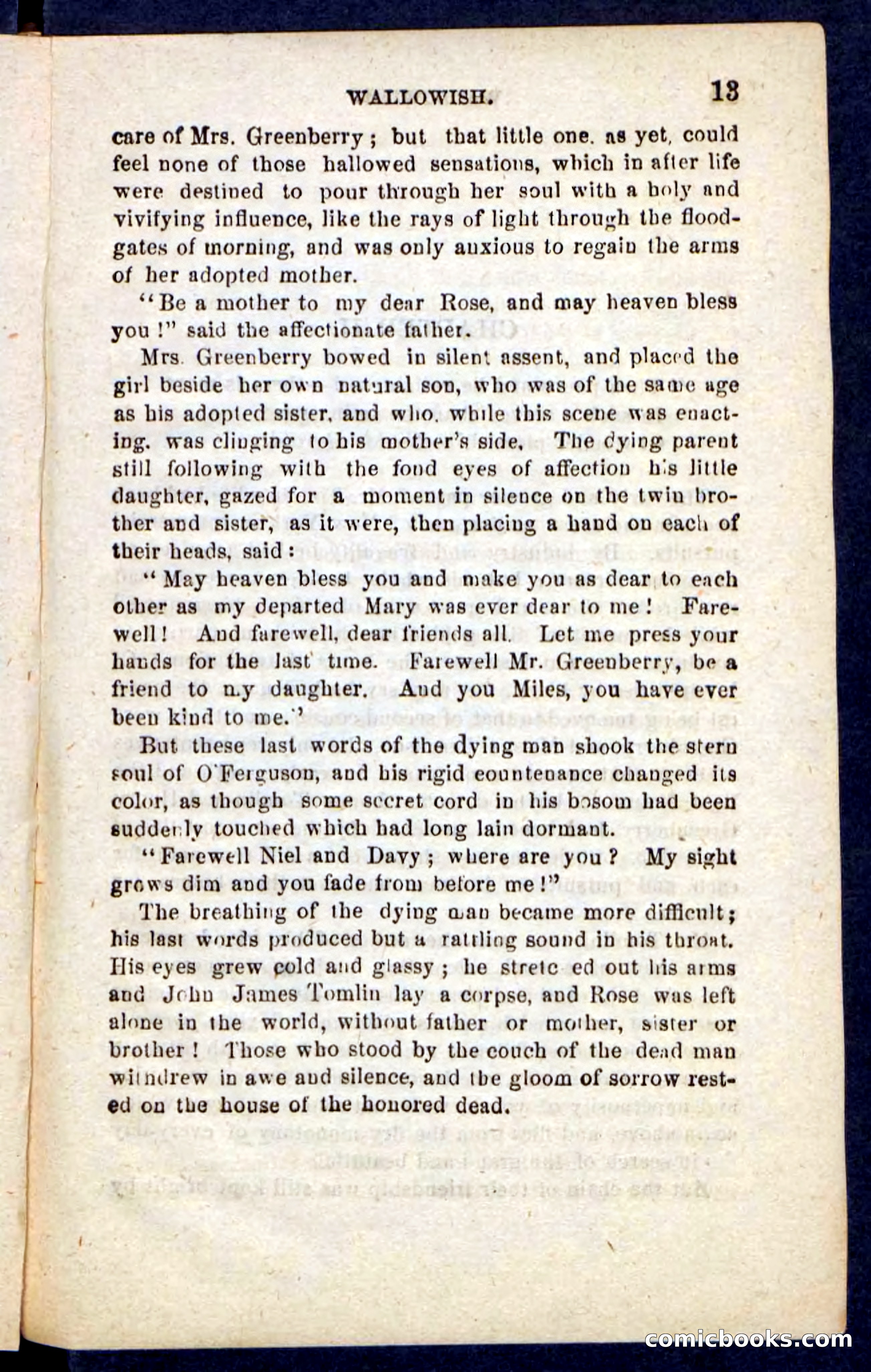 Beadle's Pocket Novels No. 217: Witch of the Wallowish — page 9 of 100