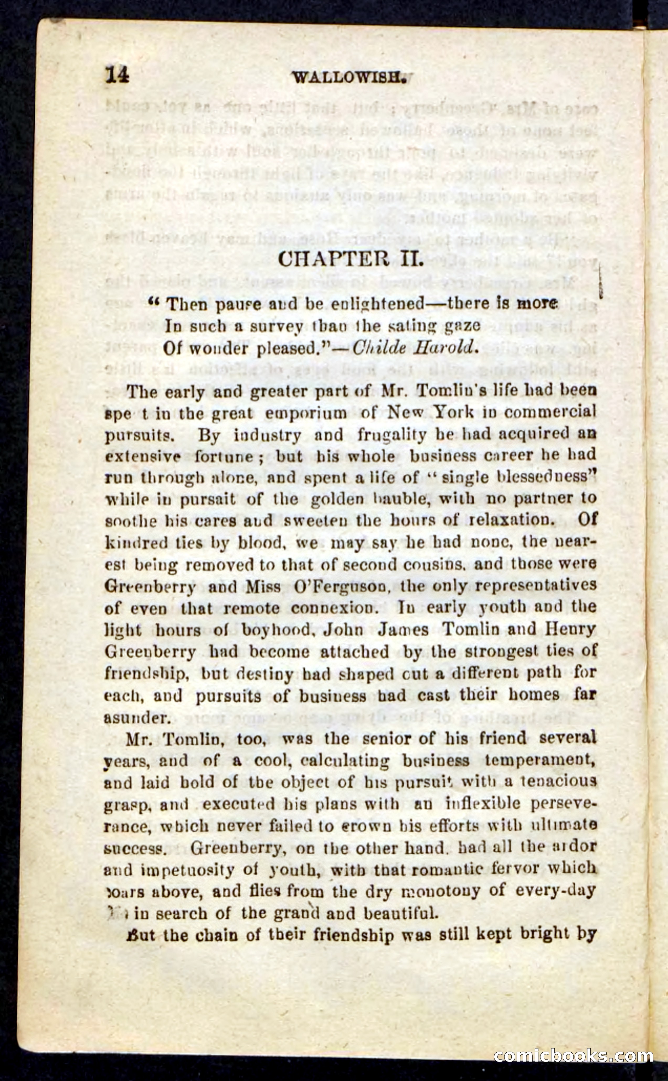 Beadle's Pocket Novels No. 217: Witch of the Wallowish — page 10 of 100