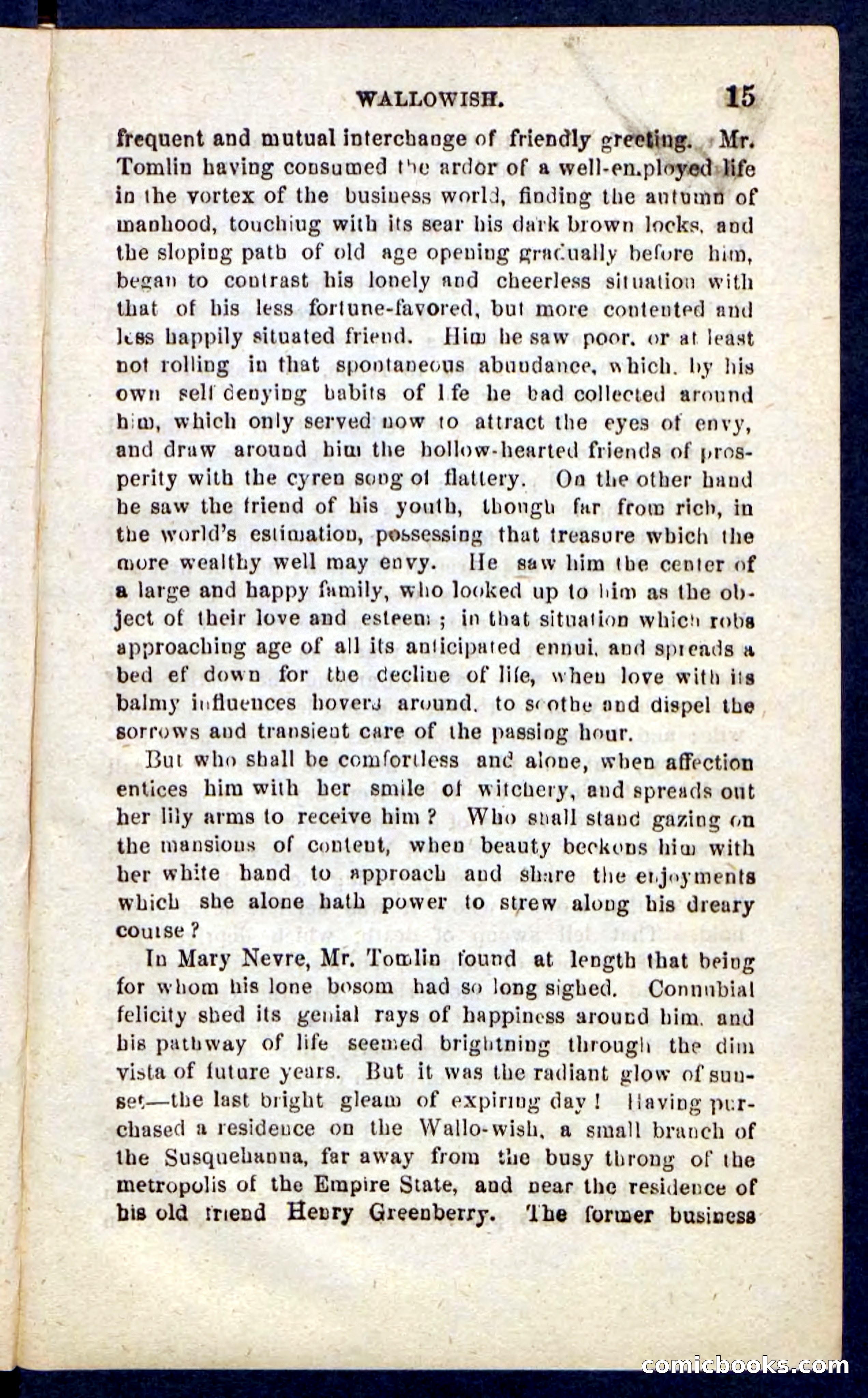 Beadle's Pocket Novels No. 217: Witch of the Wallowish — page 11 of 100