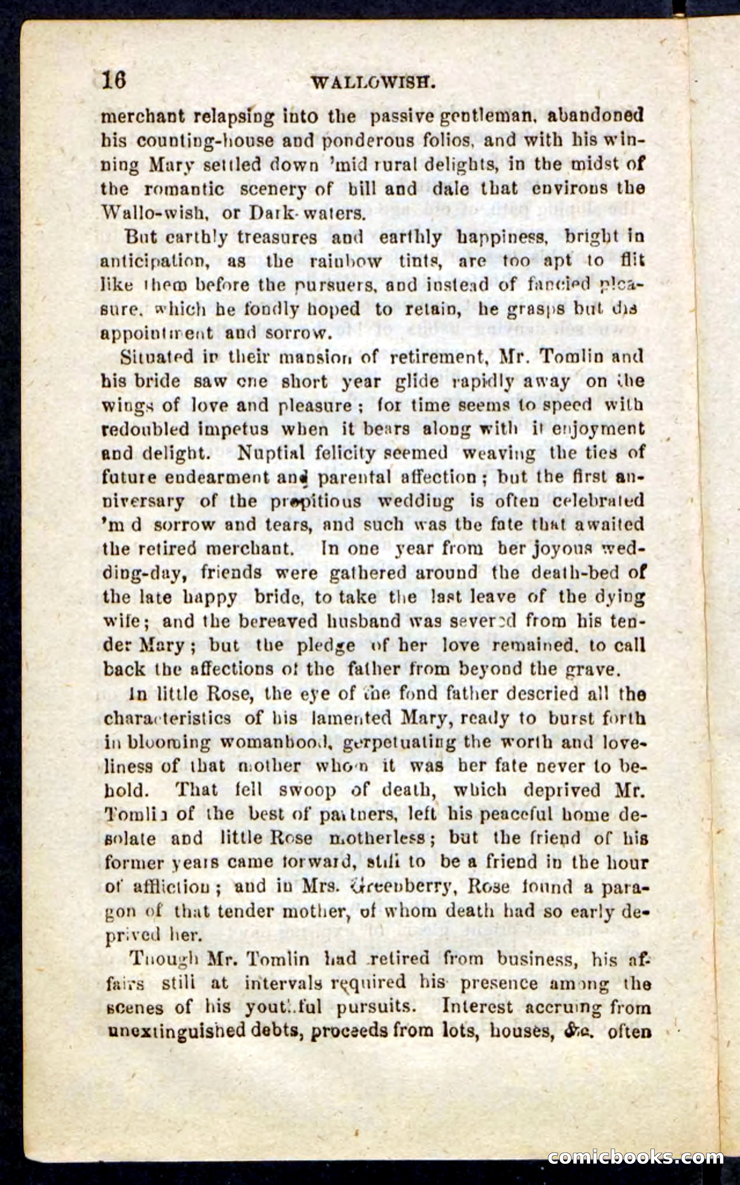 Beadle's Pocket Novels No. 217: Witch of the Wallowish — page 12 of 100