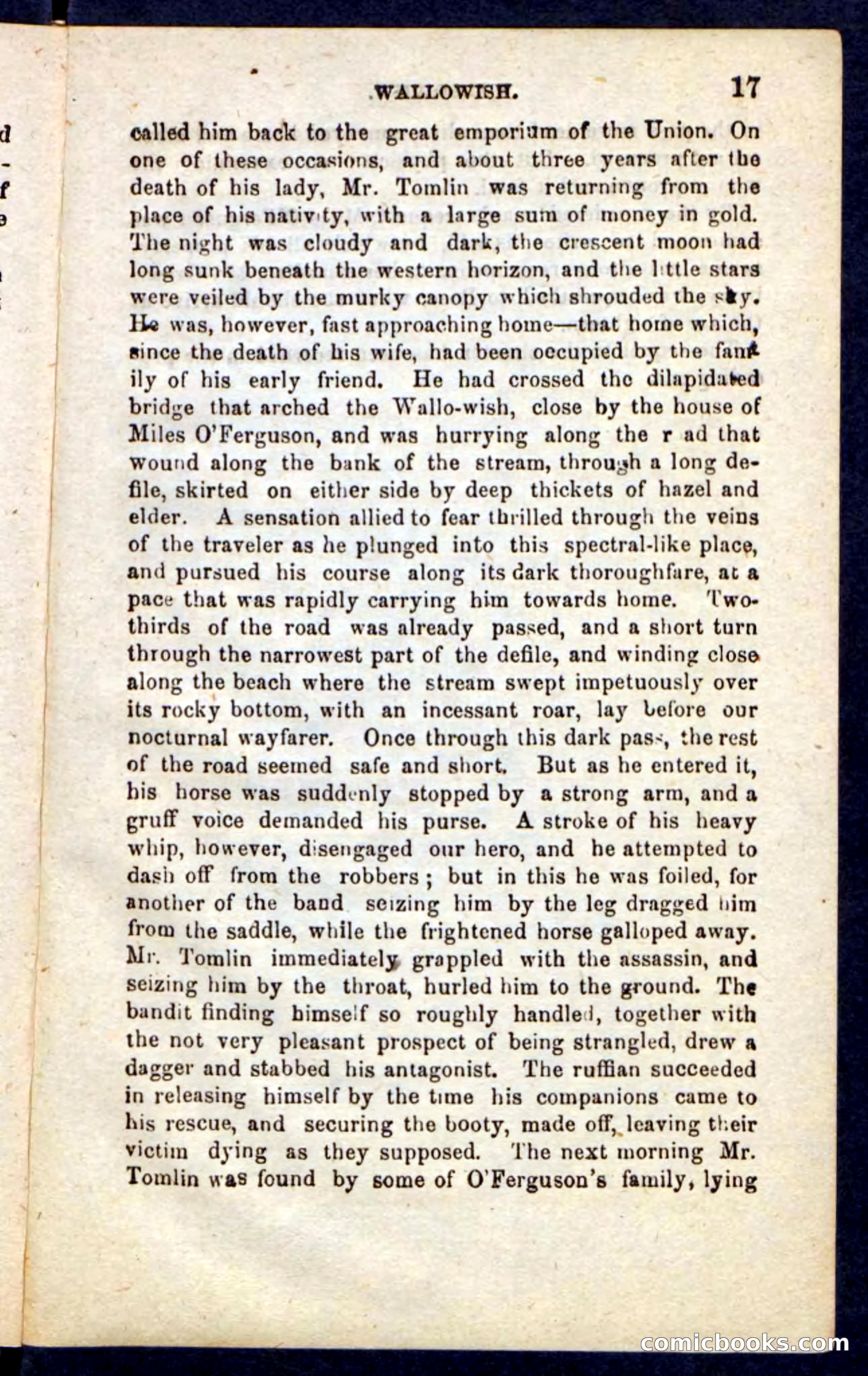 Beadle's Pocket Novels No. 217: Witch of the Wallowish — page 13 of 100