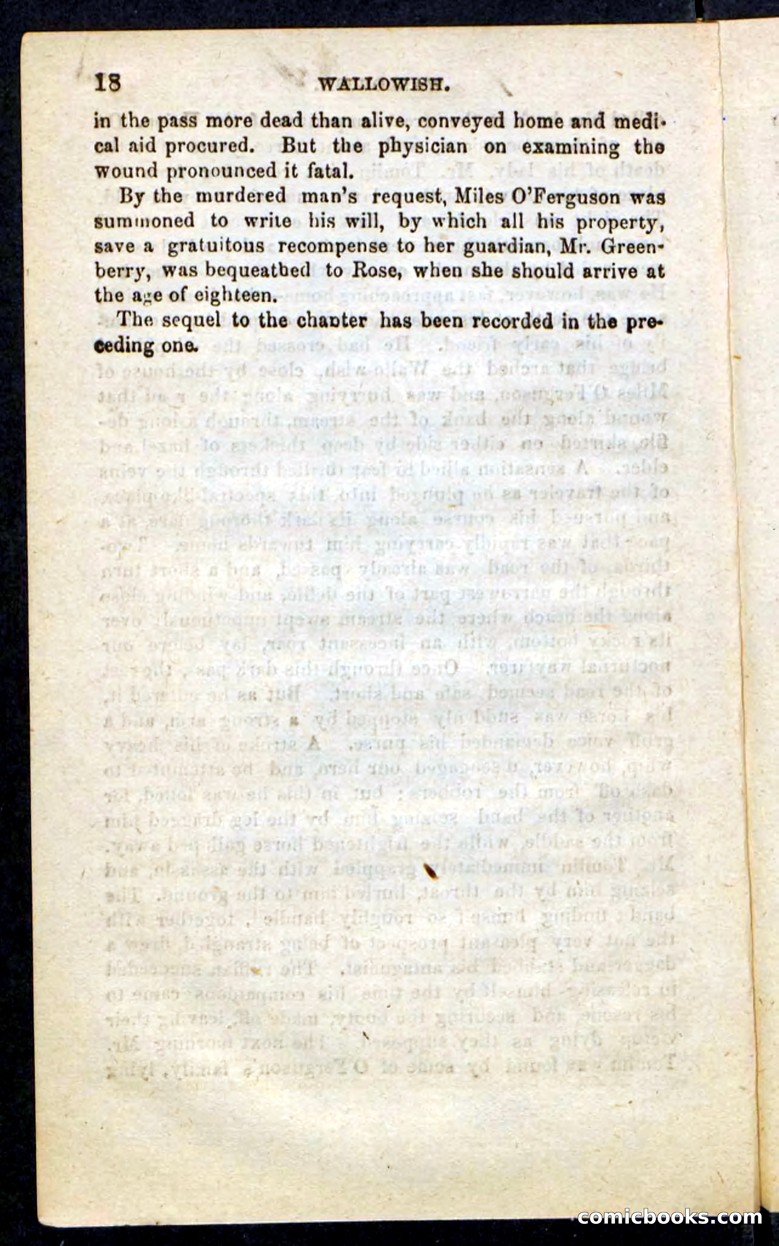 Beadle's Pocket Novels No. 217: Witch of the Wallowish — page 14 of 100