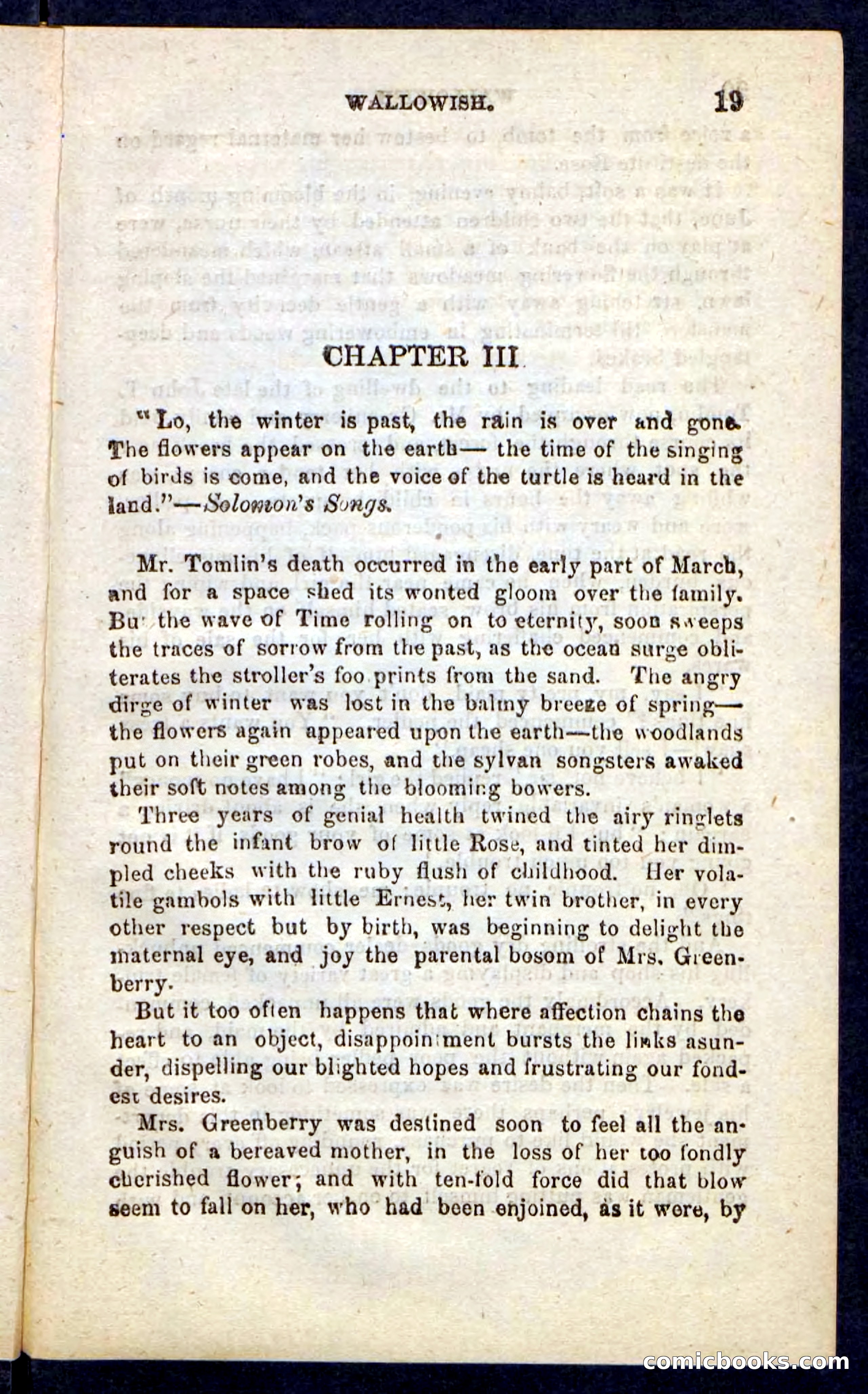 Beadle's Pocket Novels No. 217: Witch of the Wallowish — page 15 of 100