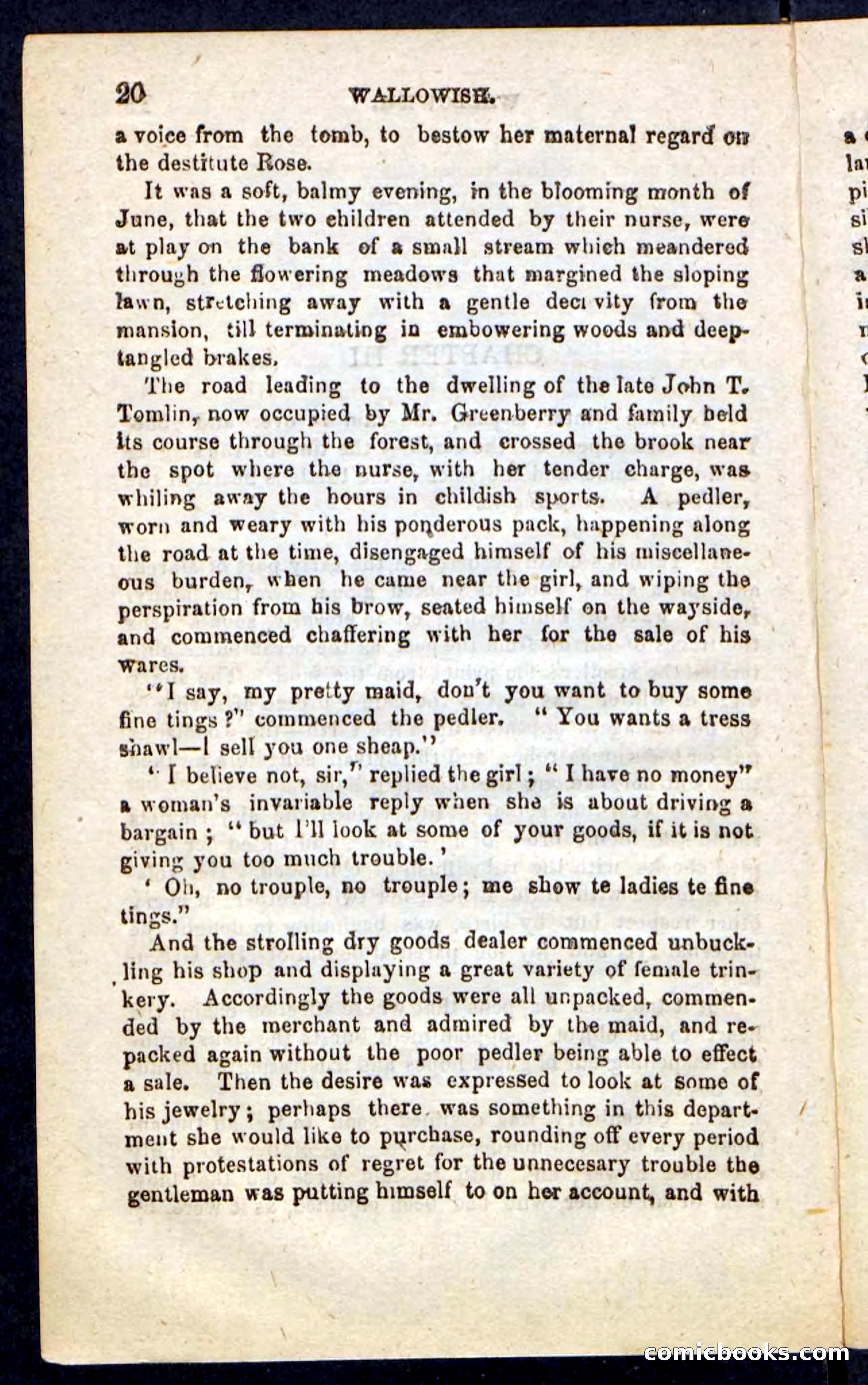 Beadle's Pocket Novels No. 217: Witch of the Wallowish — page 16 of 100