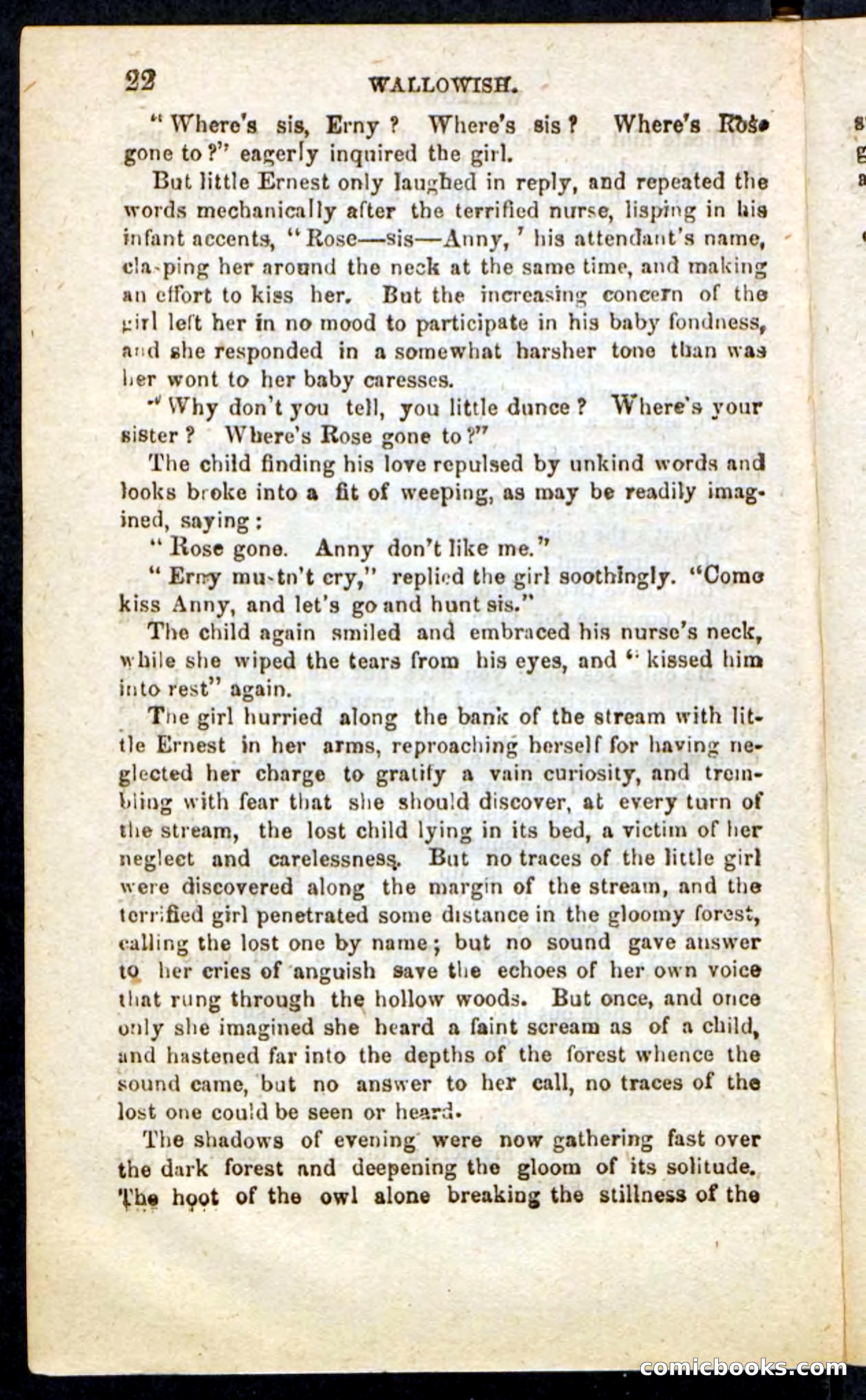 Beadle's Pocket Novels No. 217: Witch of the Wallowish — page 18 of 100