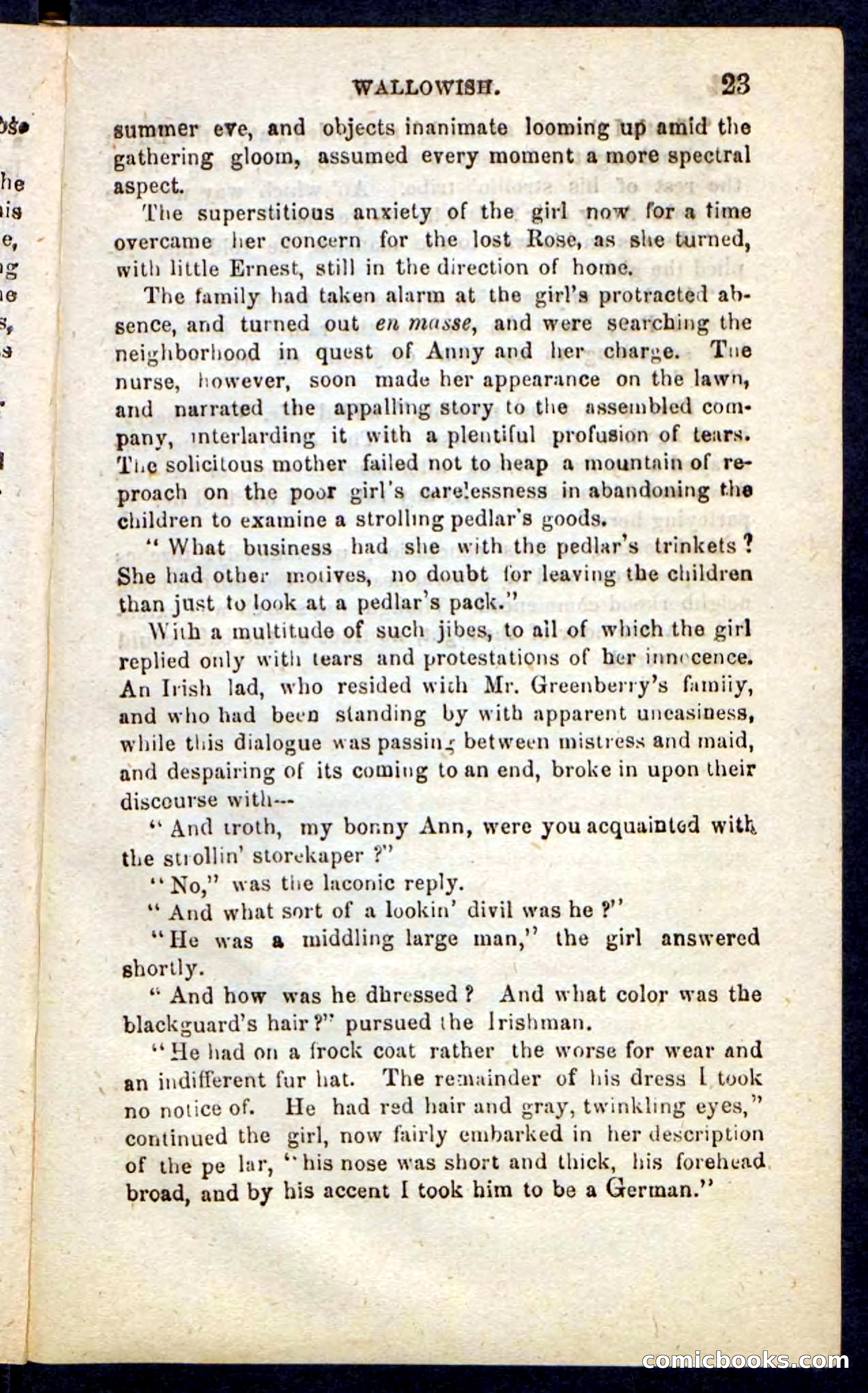 Beadle's Pocket Novels No. 217: Witch of the Wallowish — page 19 of 100