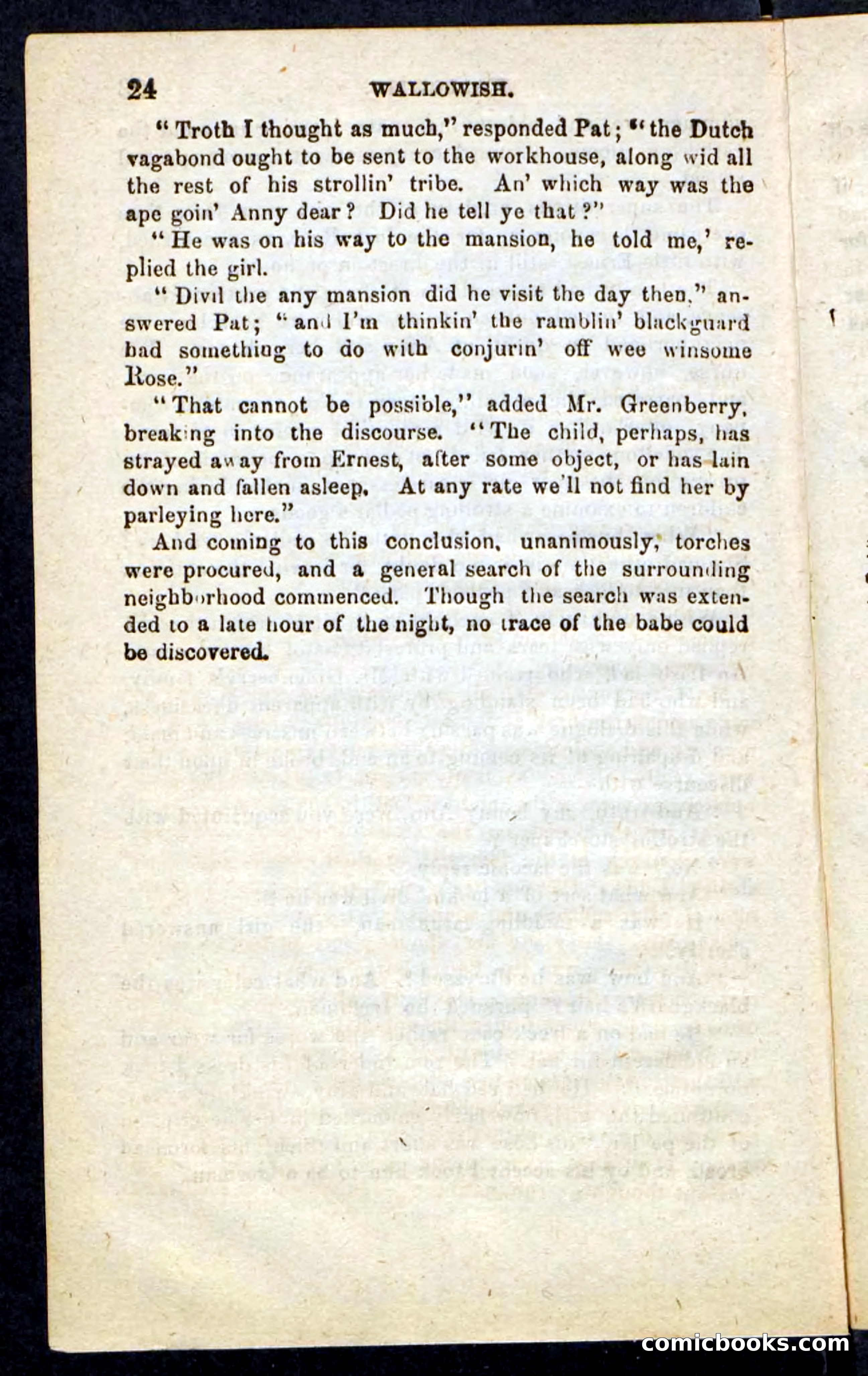 Beadle's Pocket Novels No. 217: Witch of the Wallowish — page 20 of 100