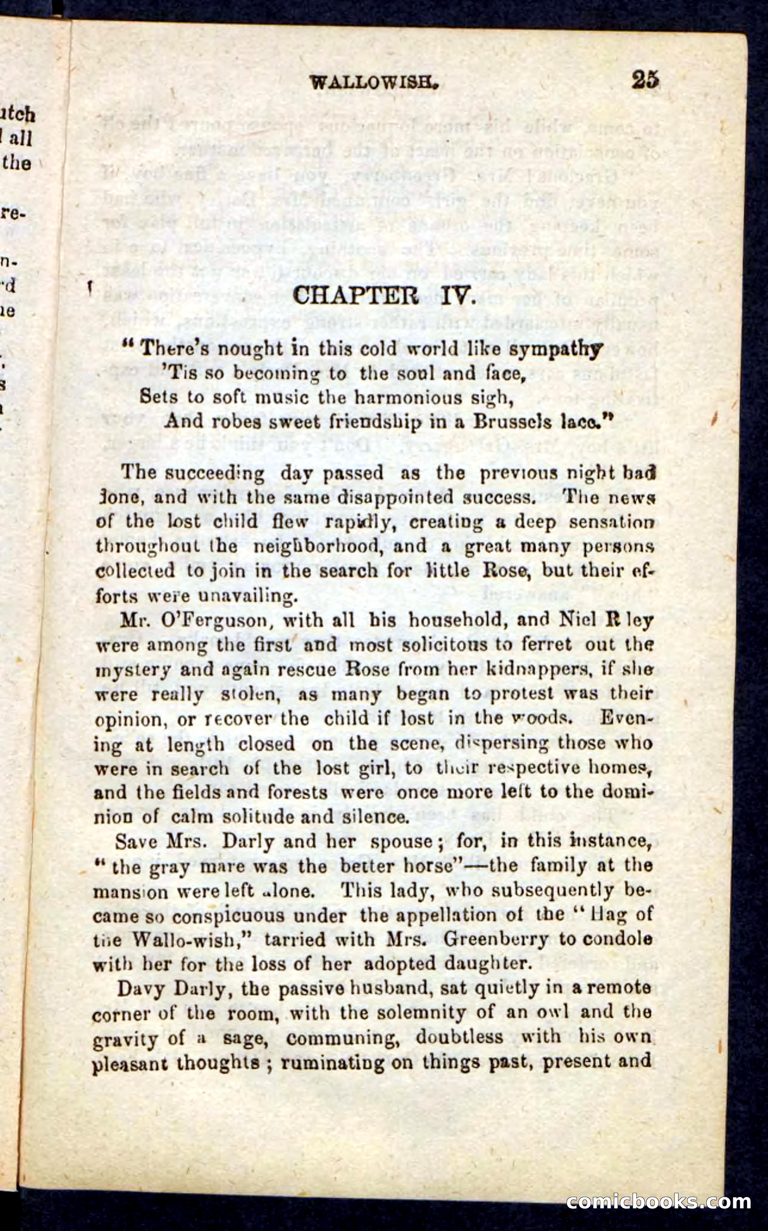 Beadle's Pocket Novels No. 217: Witch of the Wallowish — page 21 of 100