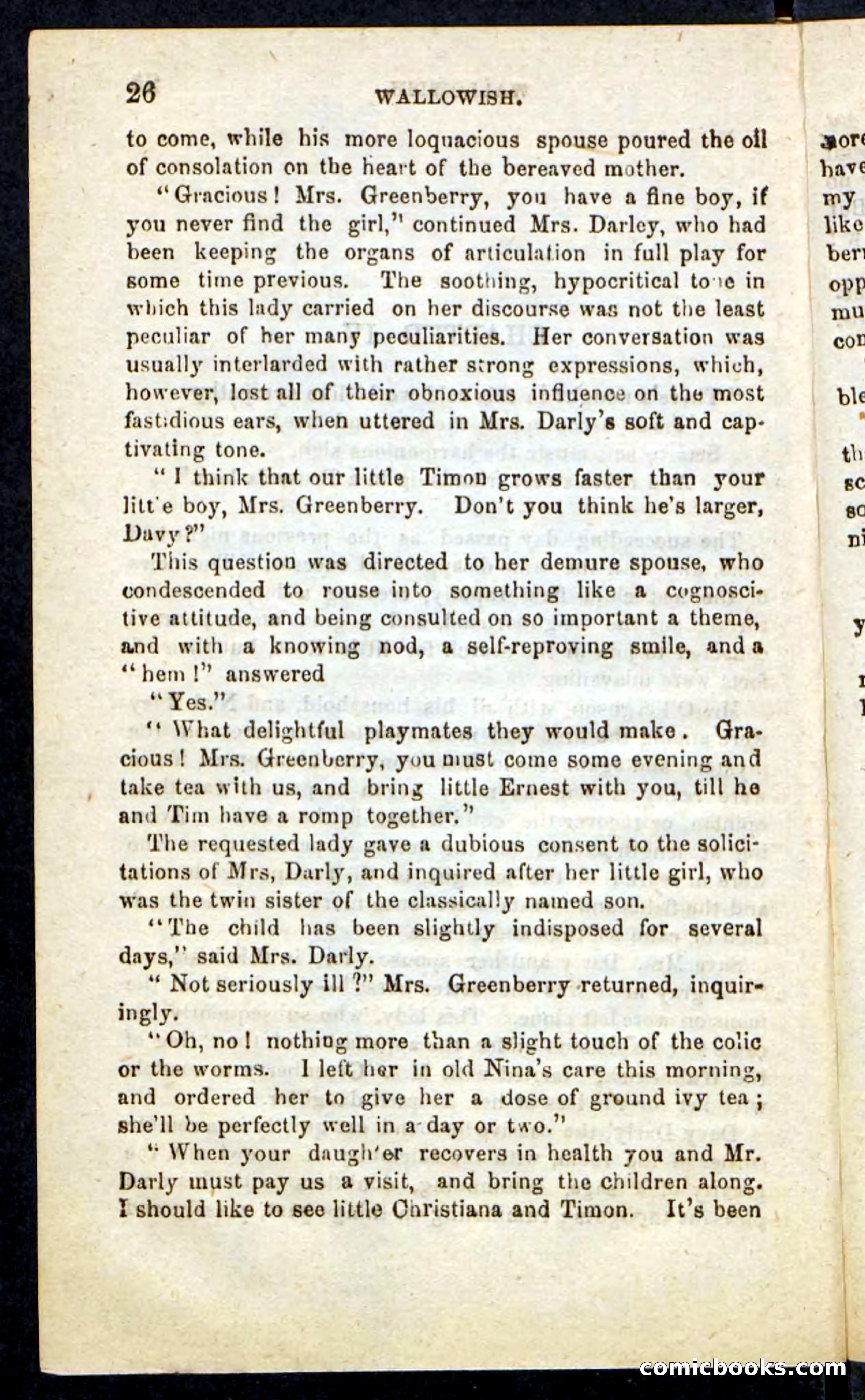 Beadle's Pocket Novels No. 217: Witch of the Wallowish — page 22 of 100