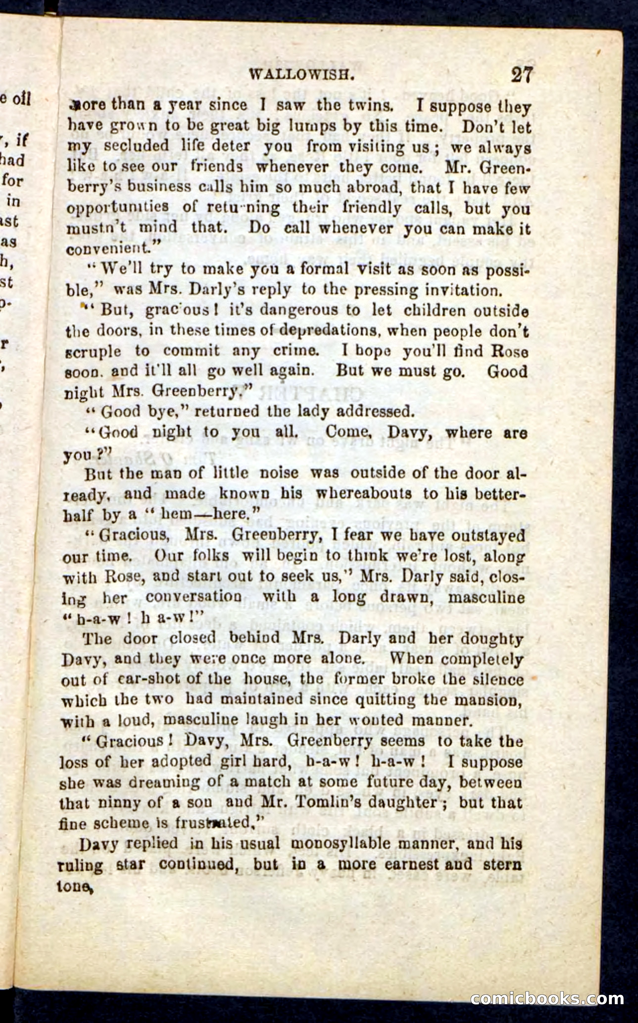 Beadle's Pocket Novels No. 217: Witch of the Wallowish — page 23 of 100