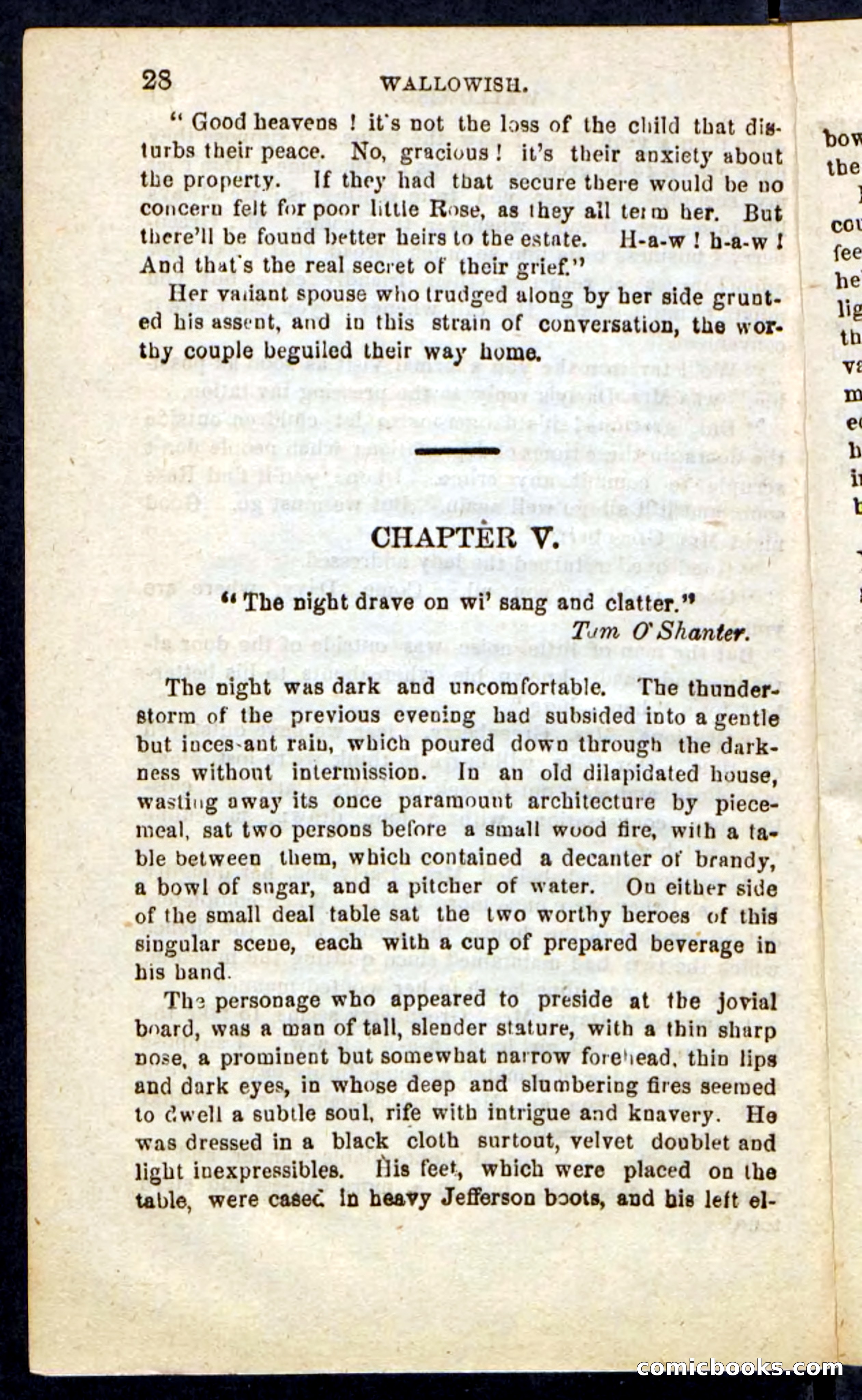 Beadle's Pocket Novels No. 217: Witch of the Wallowish — page 24 of 100