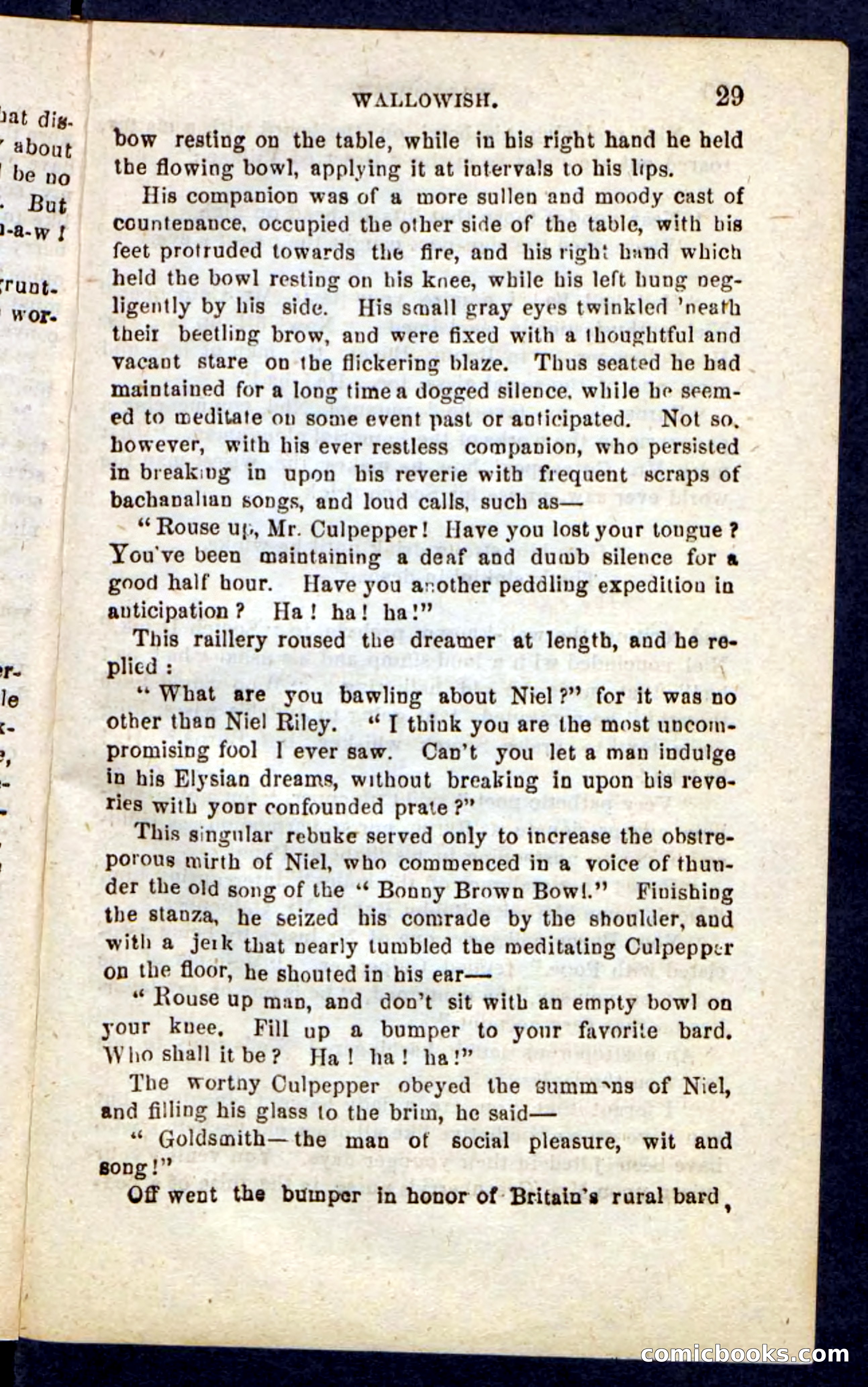 Beadle's Pocket Novels No. 217: Witch of the Wallowish — page 25 of 100