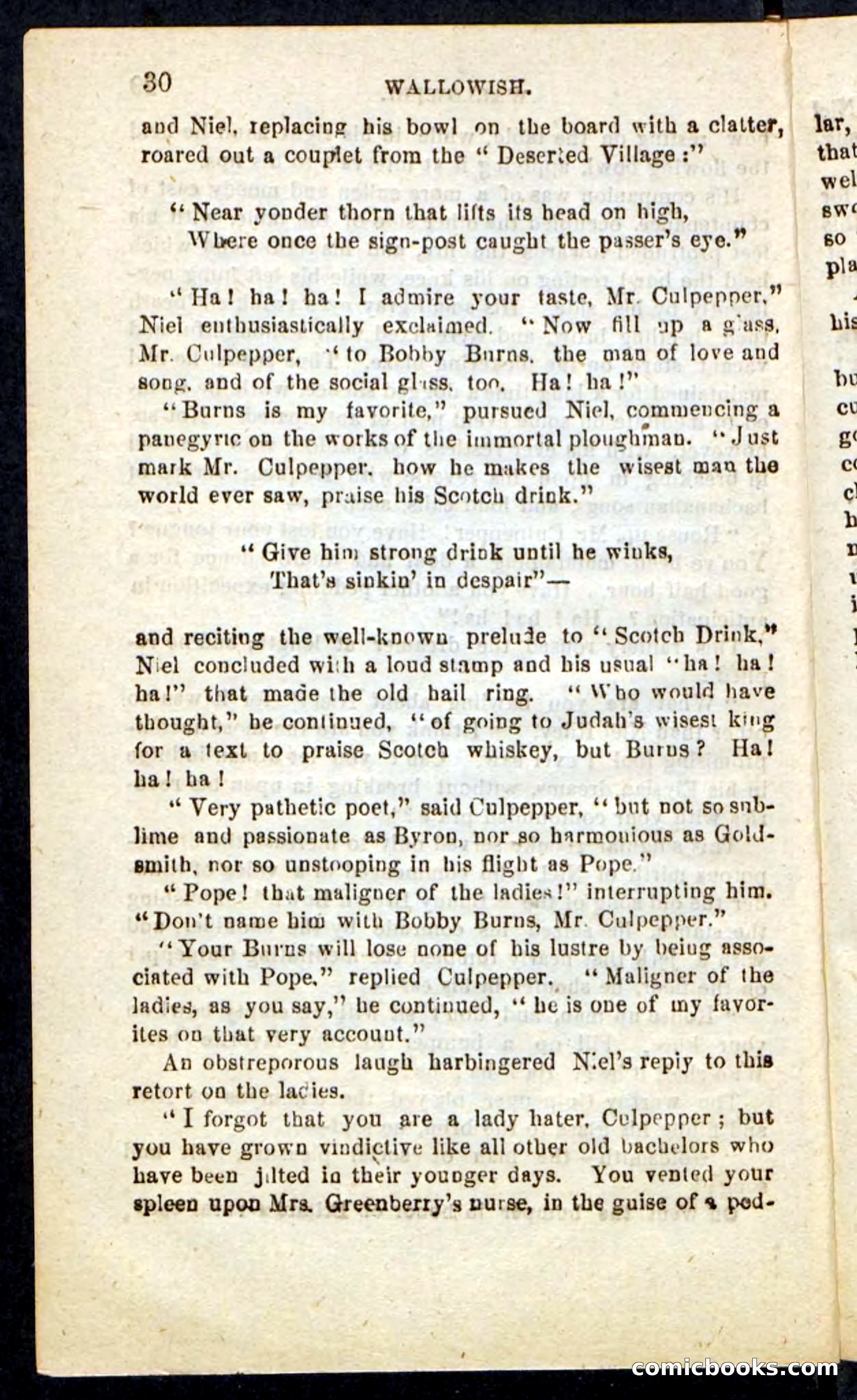 Beadle's Pocket Novels No. 217: Witch of the Wallowish — page 26 of 100