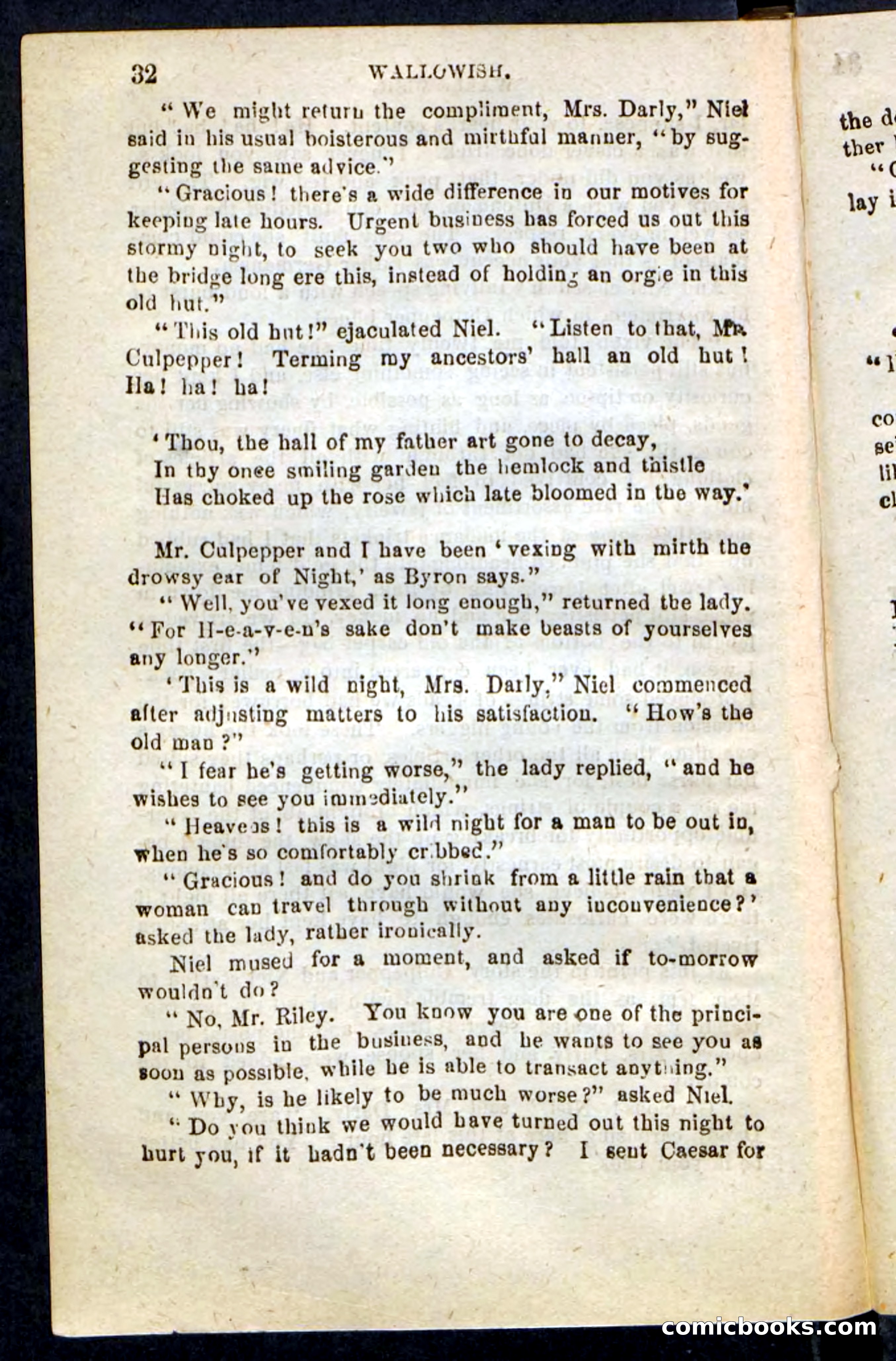 Beadle's Pocket Novels No. 217: Witch of the Wallowish — page 28 of 100