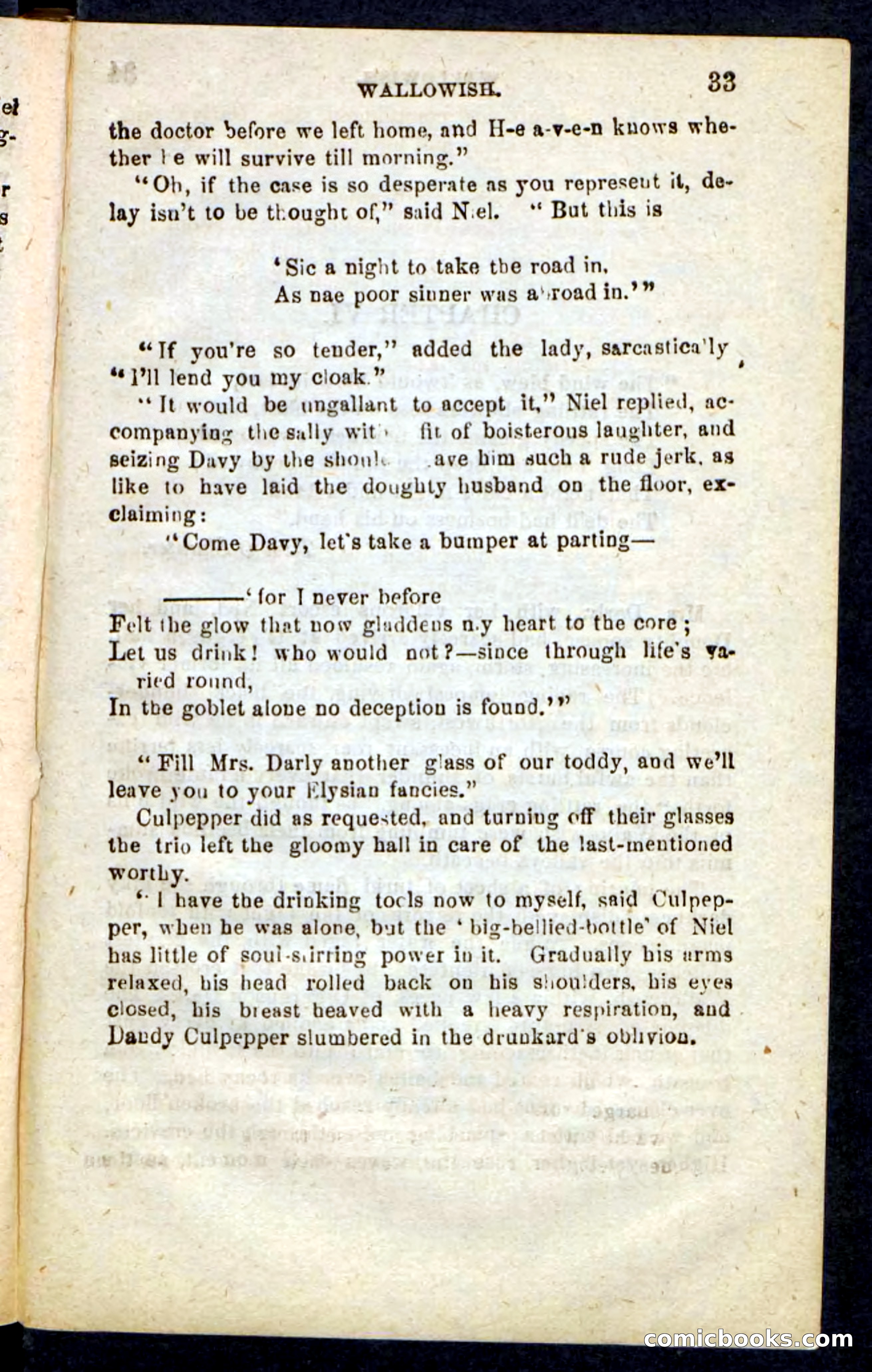Beadle's Pocket Novels No. 217: Witch of the Wallowish — page 29 of 100