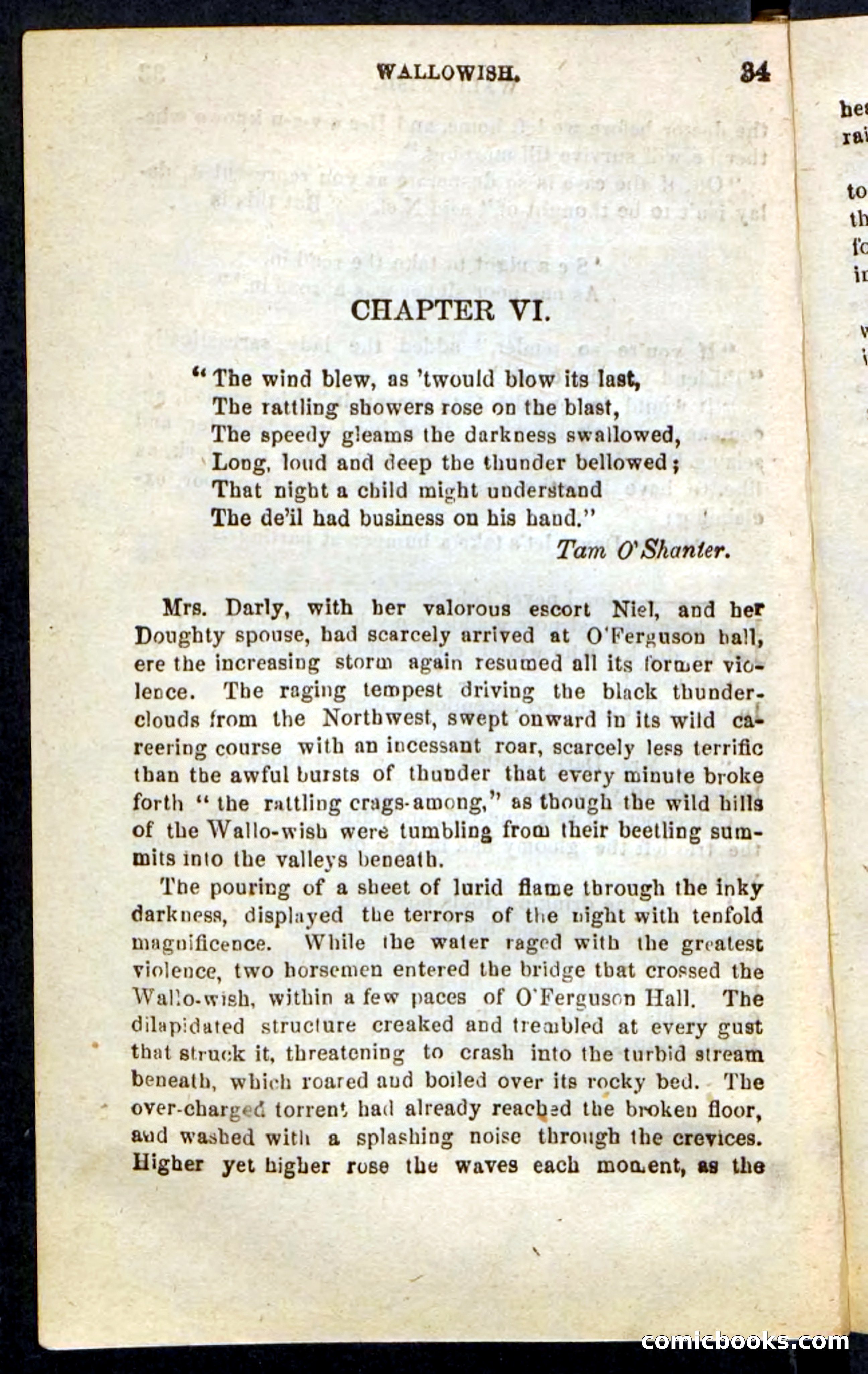 Beadle's Pocket Novels No. 217: Witch of the Wallowish — page 30 of 100