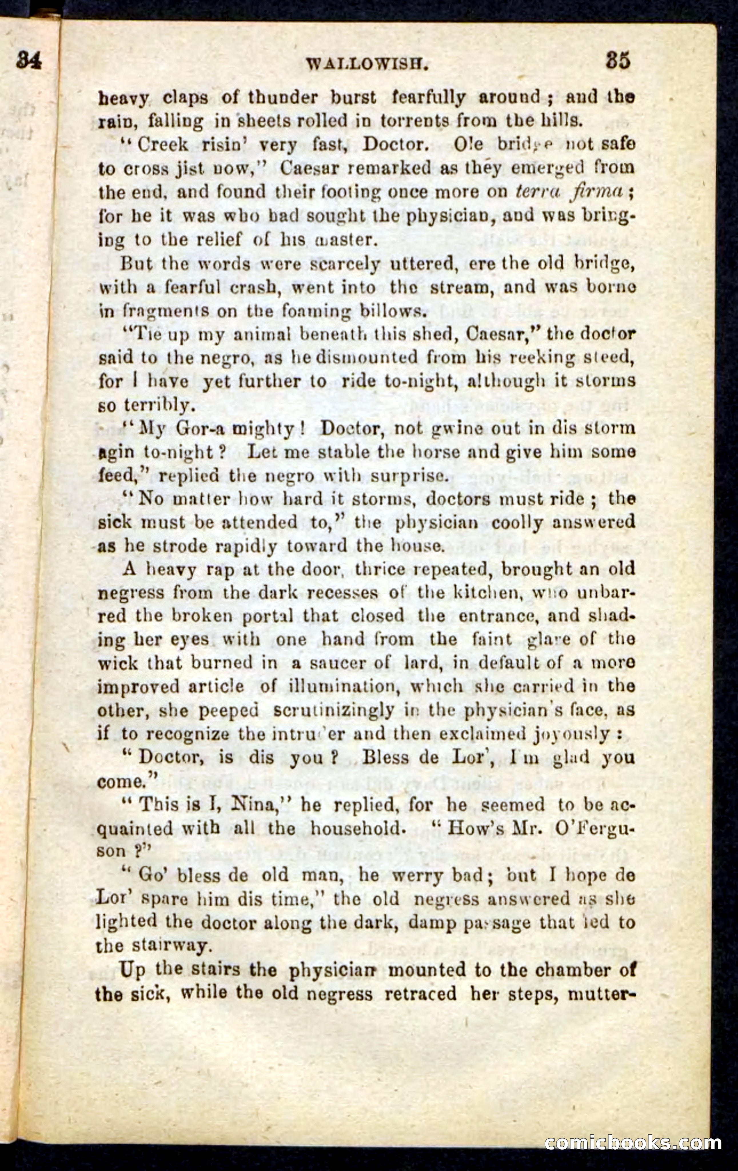 Beadle's Pocket Novels No. 217: Witch of the Wallowish — page 31 of 100