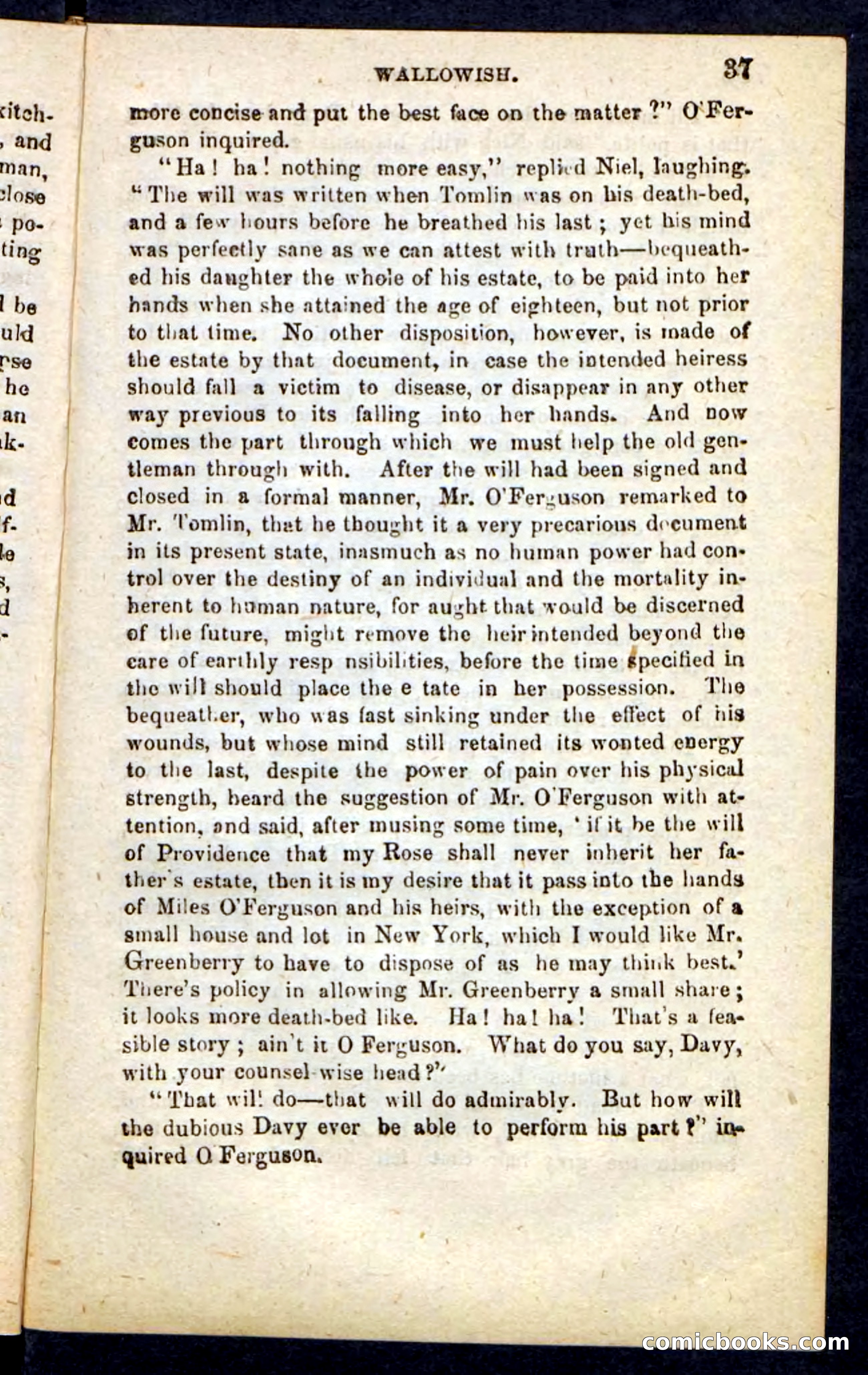 Beadle's Pocket Novels No. 217: Witch of the Wallowish — page 33 of 100