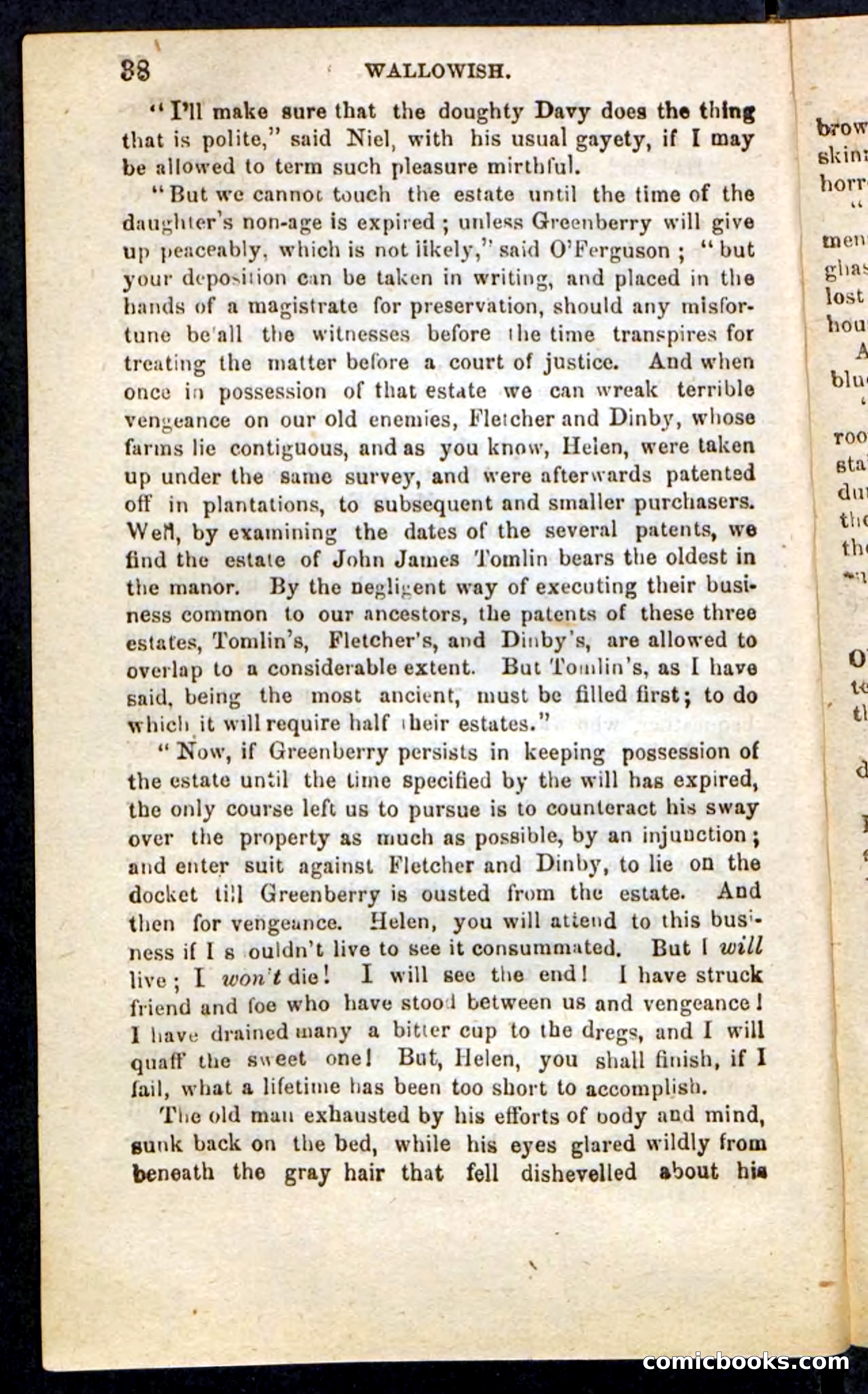 Beadle's Pocket Novels No. 217: Witch of the Wallowish — page 34 of 100