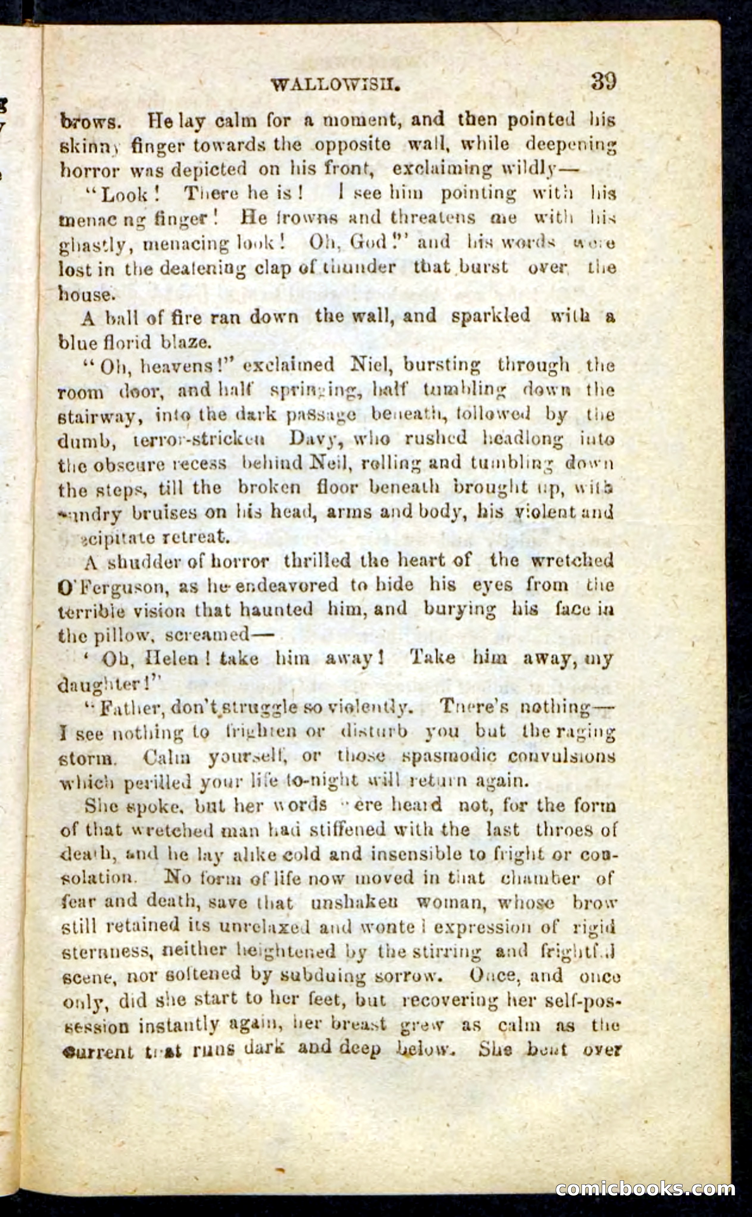Beadle's Pocket Novels No. 217: Witch of the Wallowish — page 35 of 100